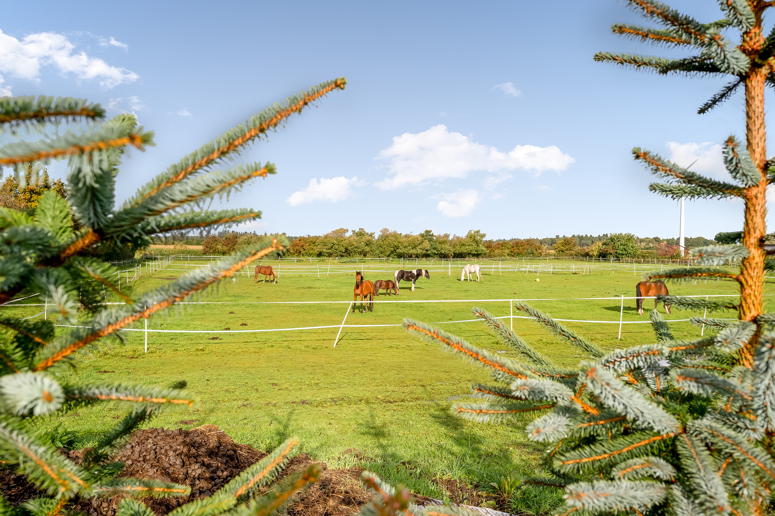 Fremhævet udsigt billede i fuldskærmstilstand. Billede af Højervej 15, V Gammelby, 6280 Højer