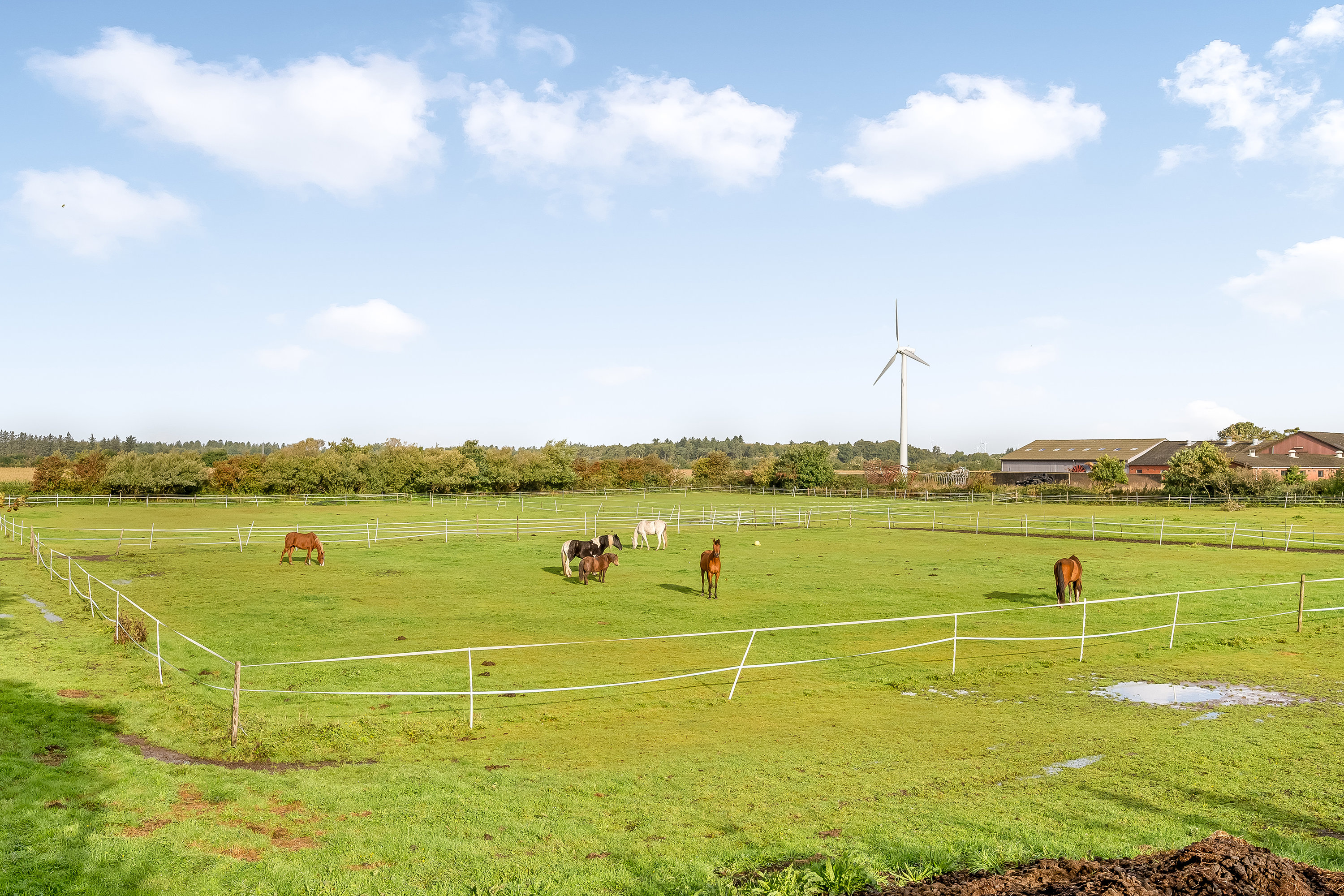Fremhævet udsigt billede i fuldskærmstilstand. Billede af Højervej 15, V Gammelby, 6280 Højer