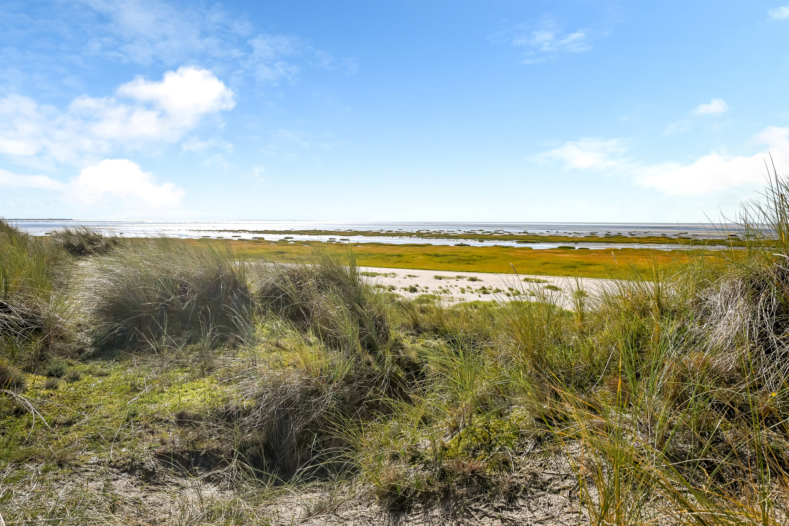 Fremhævet område billede i fuldskærmstilstand. Billede af Søndermarken 31, Sønderho, 6720 Fanø