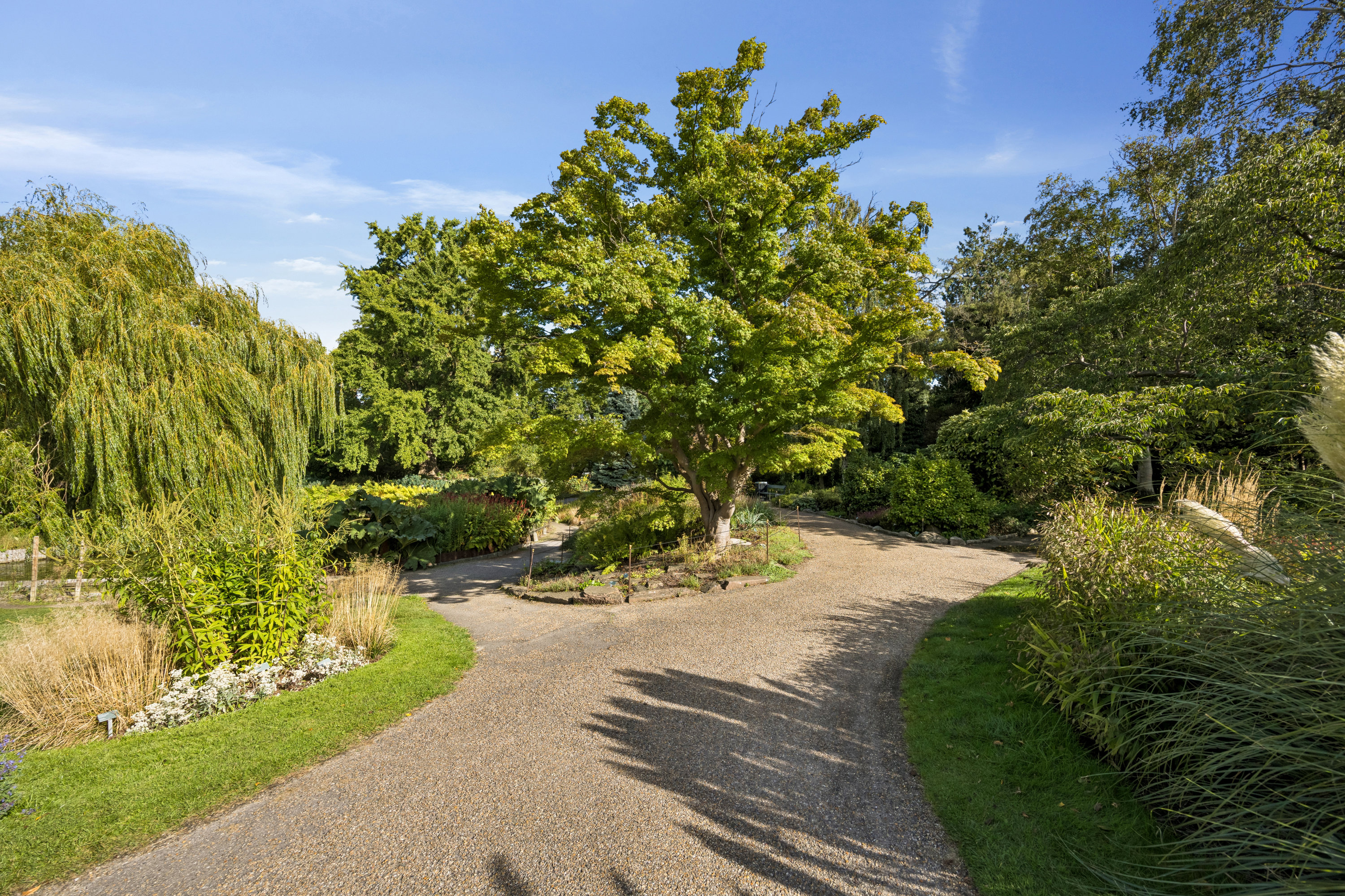 Fremhævet ejendom 1 billede i fuldskærmstilstand. Billede af Bülowsvej 5C, 4. th., 1870 Frederiksberg C