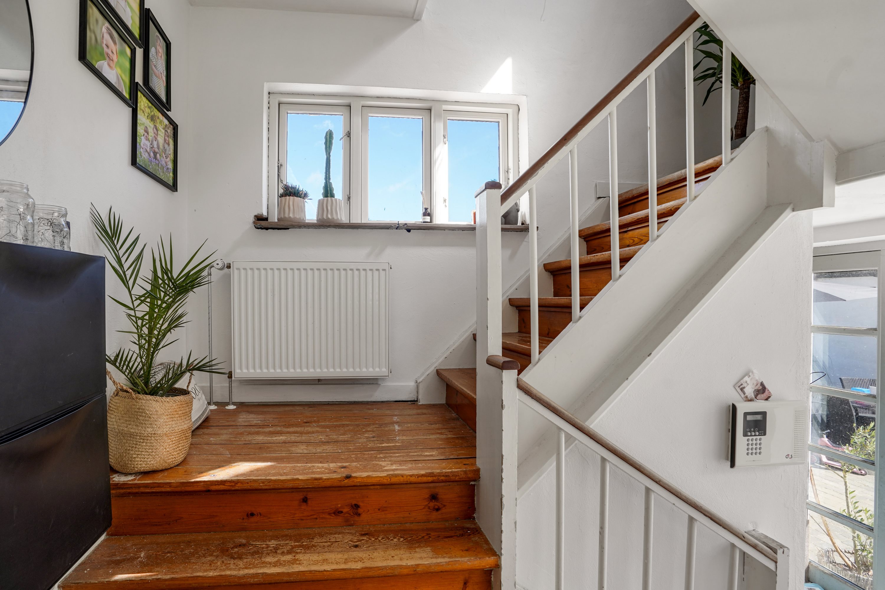 Fremhævet andet billede i fuldskærmstilstand. Billede af Sildegravsbanken 2, Blanke, 5466 Asperup