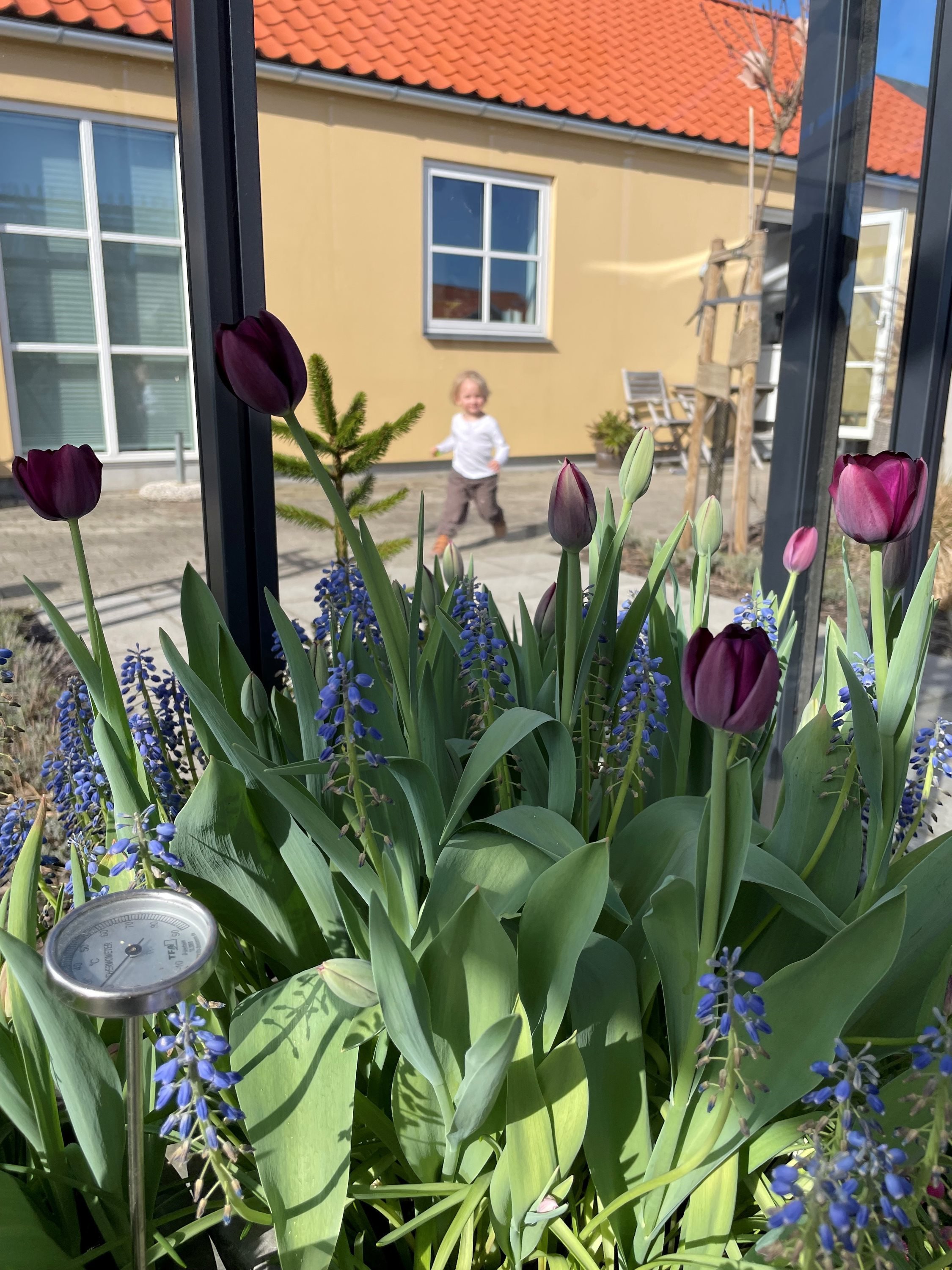 Fremhævet  billede i fuldskærmstilstand. Billede af Nedre Mosevej 97B, 9990 Skagen