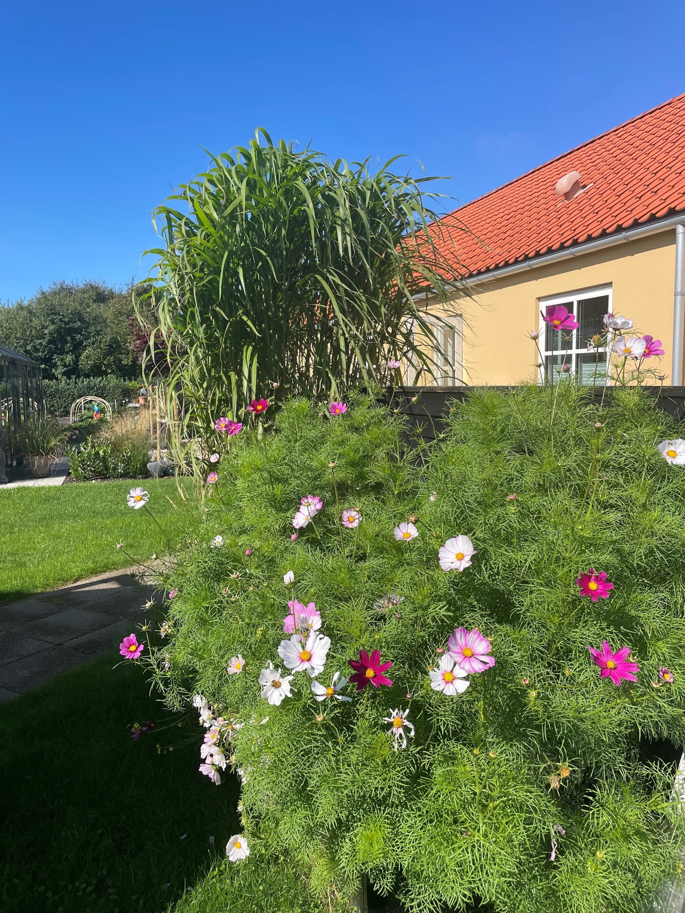 Fremhævet  billede i fuldskærmstilstand. Billede af Nedre Mosevej 97B, 9990 Skagen