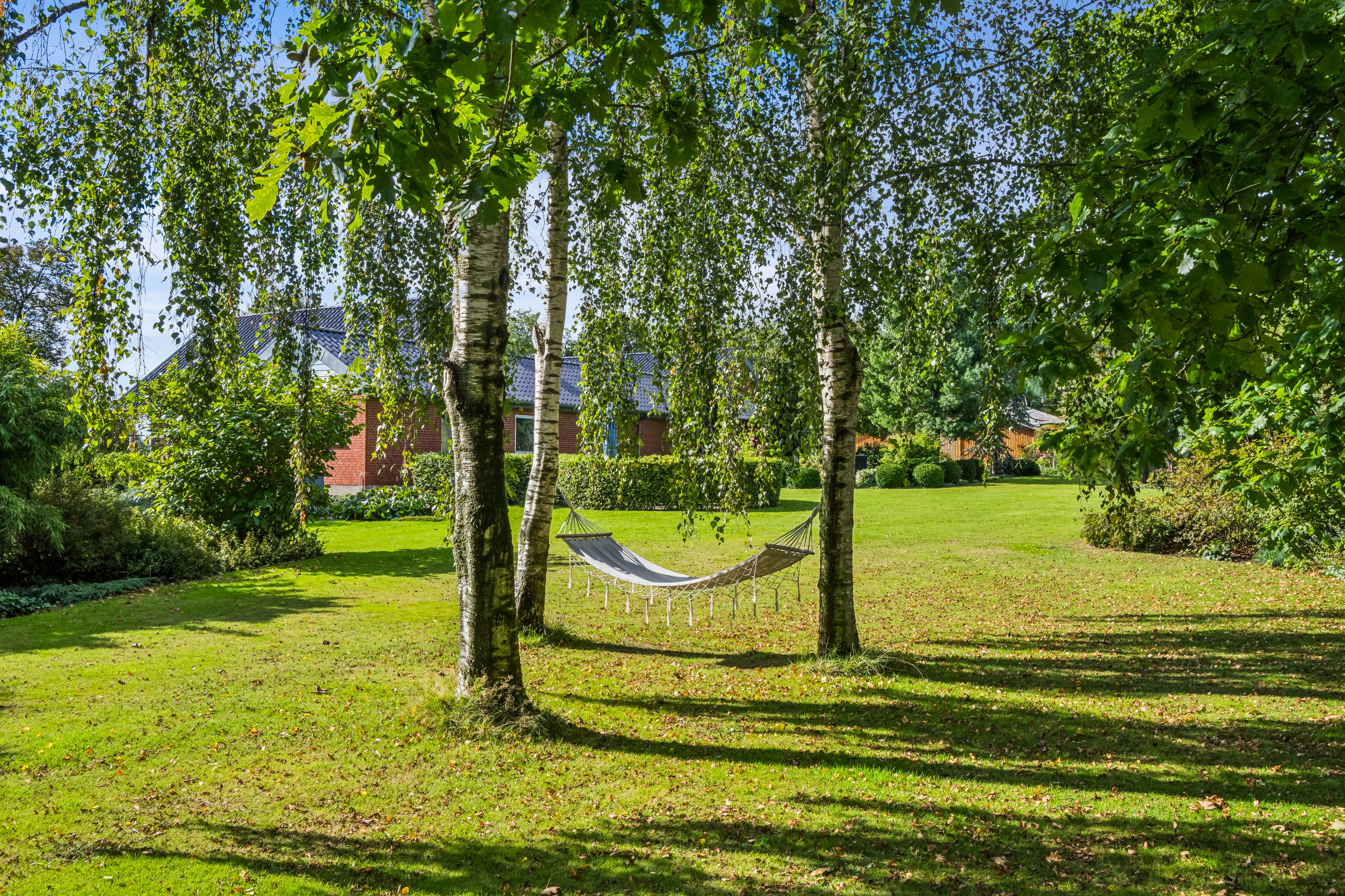 Fremhævet have billede i fuldskærmstilstand. Billede af Vinkelvej 21, Nr. Søby, 7840 Højslev