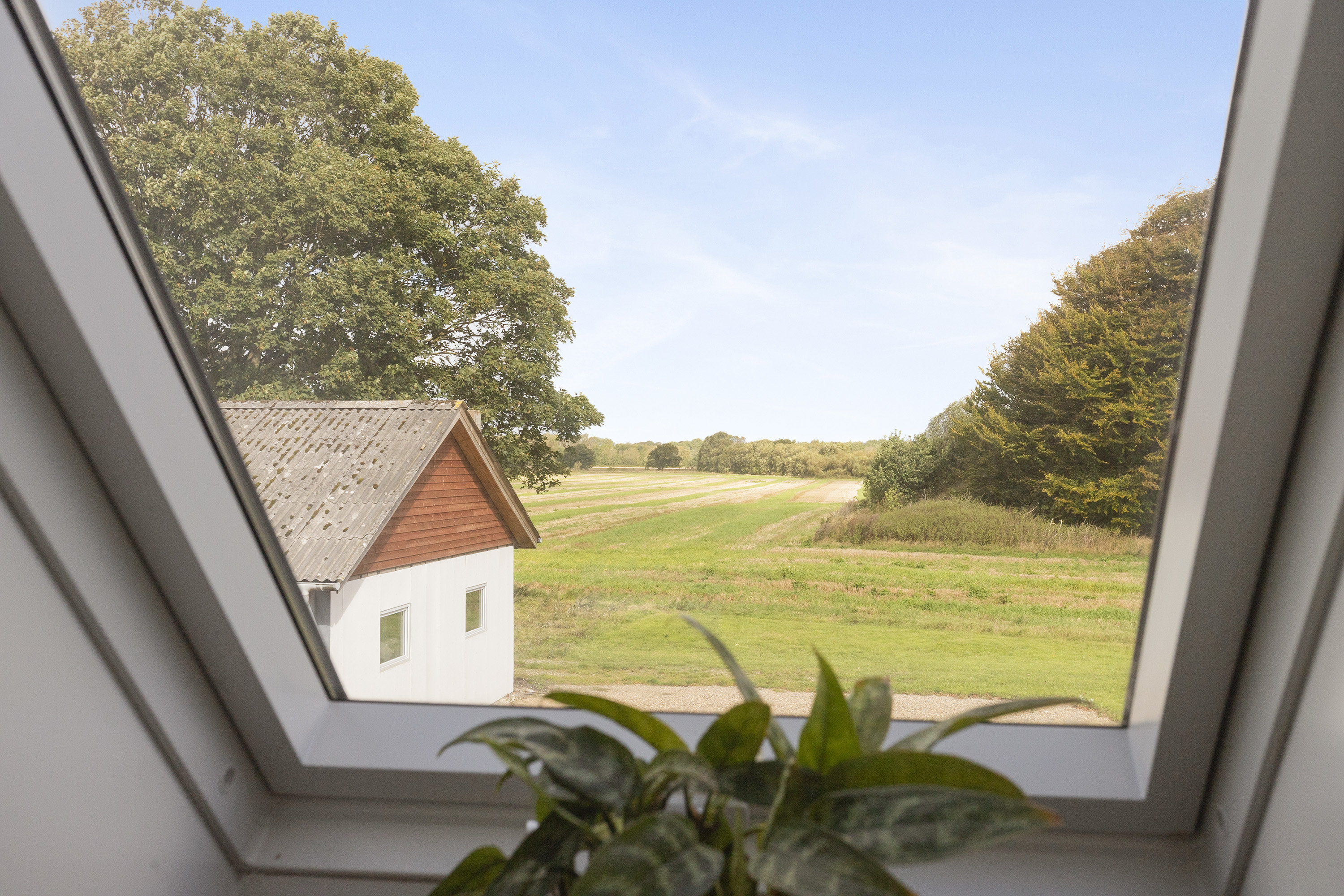 Fremhævet område billede i fuldskærmstilstand. Billede af Hafdrupvej 11, Hafdrup, 6580 Vamdrup