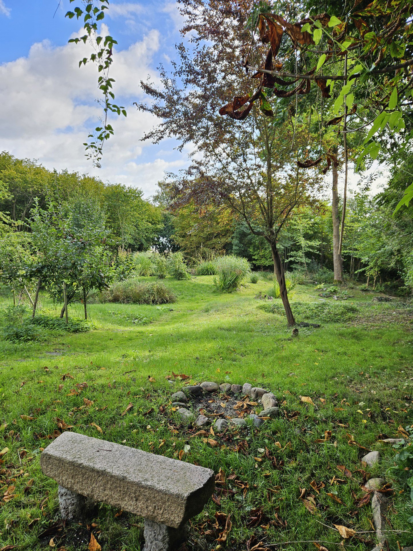 Fremhævet  billede i fuldskærmstilstand. Billede af Fælledvej 38, 7000 Fredericia