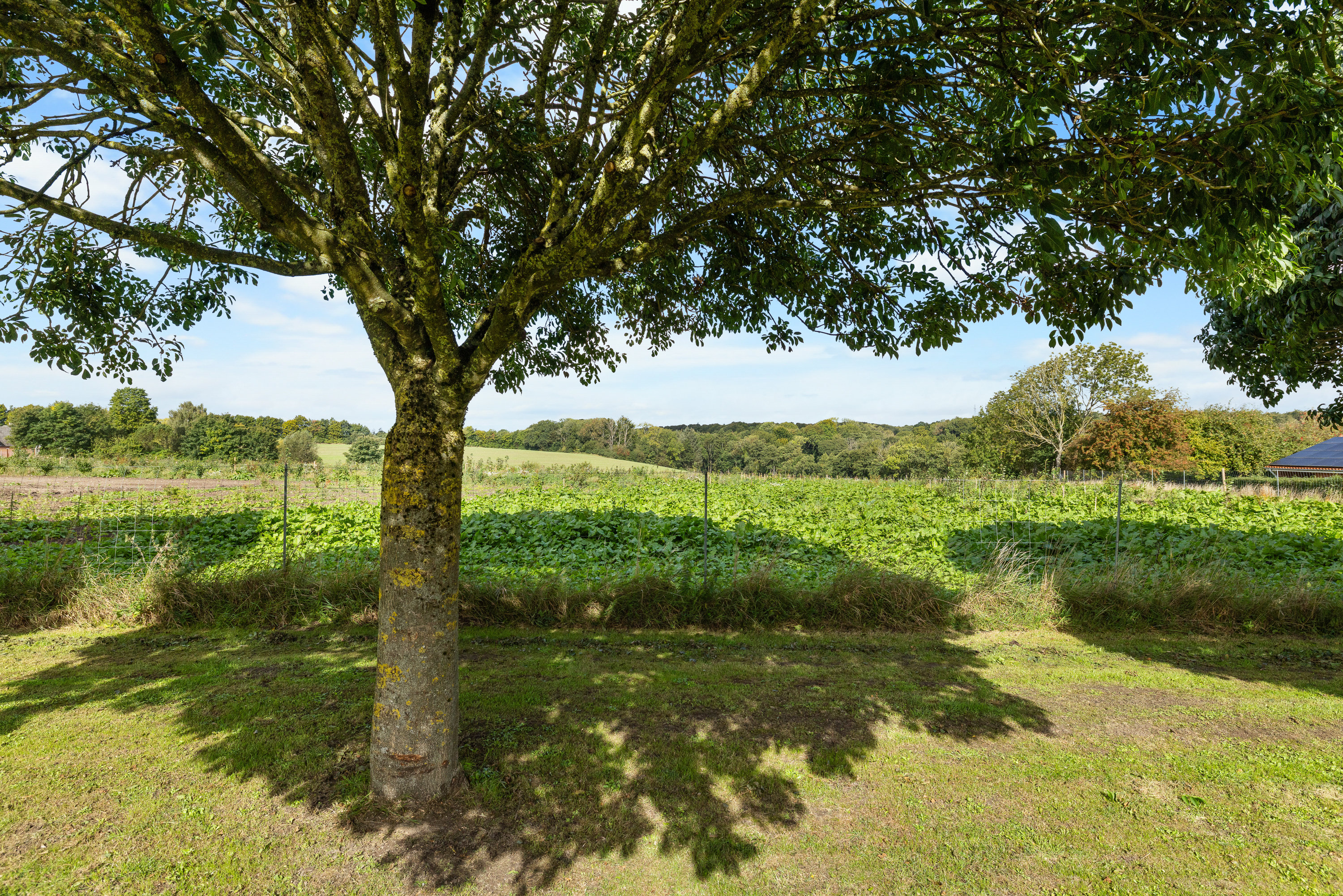 Fremhævet udsigt billede i fuldskærmstilstand. Billede af Herslev Bygade 28, Herslev, 7000 Fredericia