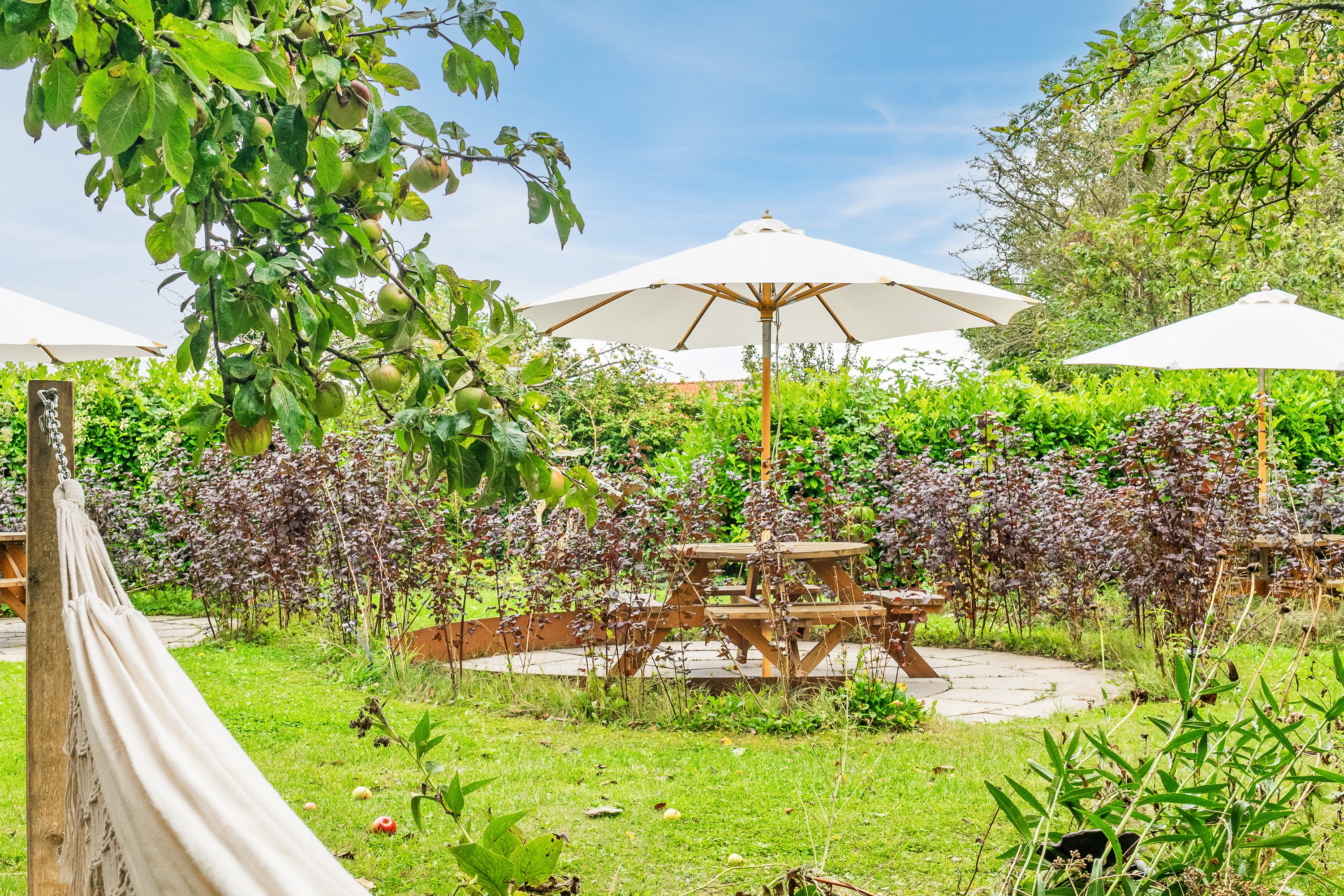 Fremhævet  billede i fuldskærmstilstand. Billede af Adelgade 54, 4880 Nysted