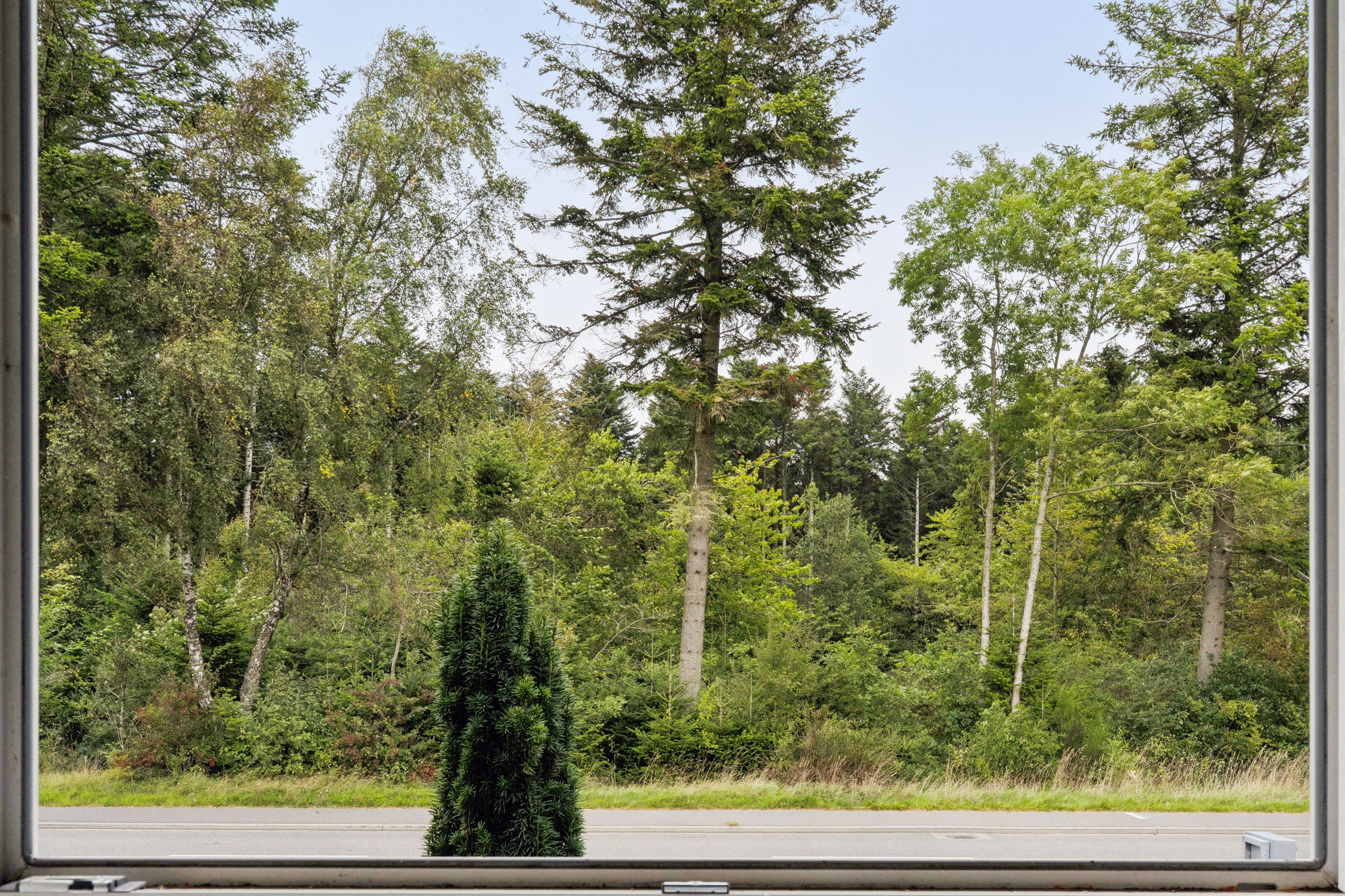 Miniaturebillede 2: udsigt. Billede af Halvorsmindevej 9, 9800 Hjørring