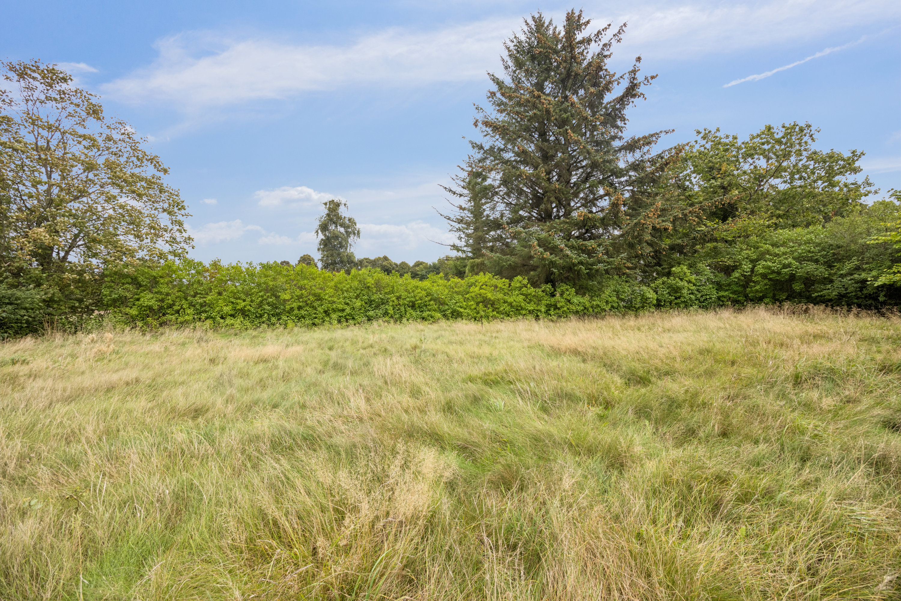 Fremhævet have billede i fuldskærmstilstand. Billede af Øster Hassing Vej 26, Langholt, 9310 Vodskov