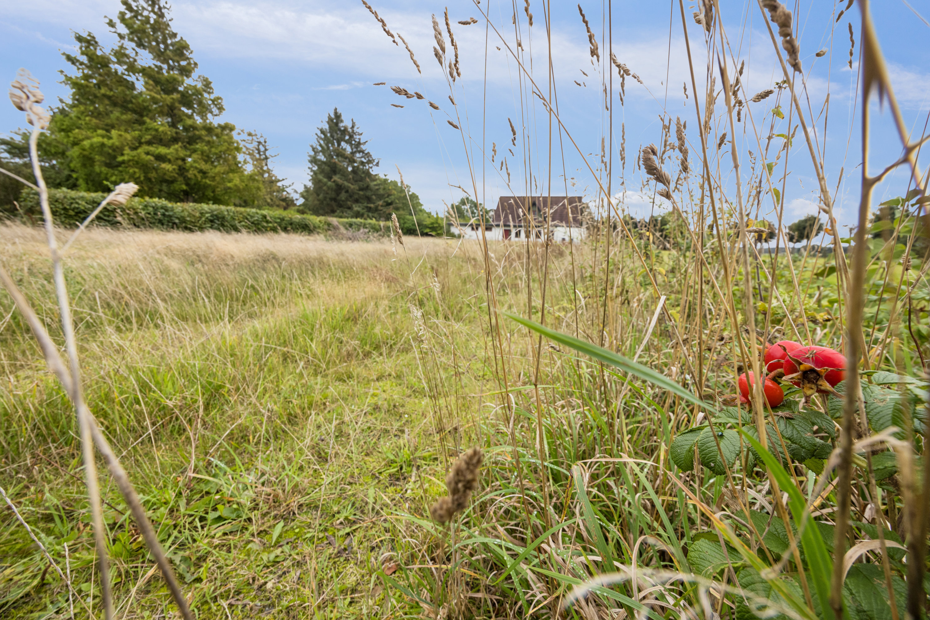 Fremhævet have billede i fuldskærmstilstand. Billede af Øster Hassing Vej 26, Langholt, 9310 Vodskov