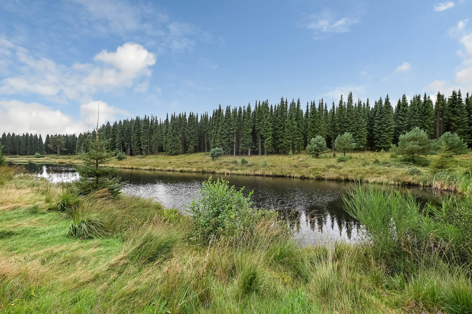 Fremhævet  billede i fuldskærmstilstand. Billede af Saugmandsvej 17, Møborg, 7660 Bækmarksbro