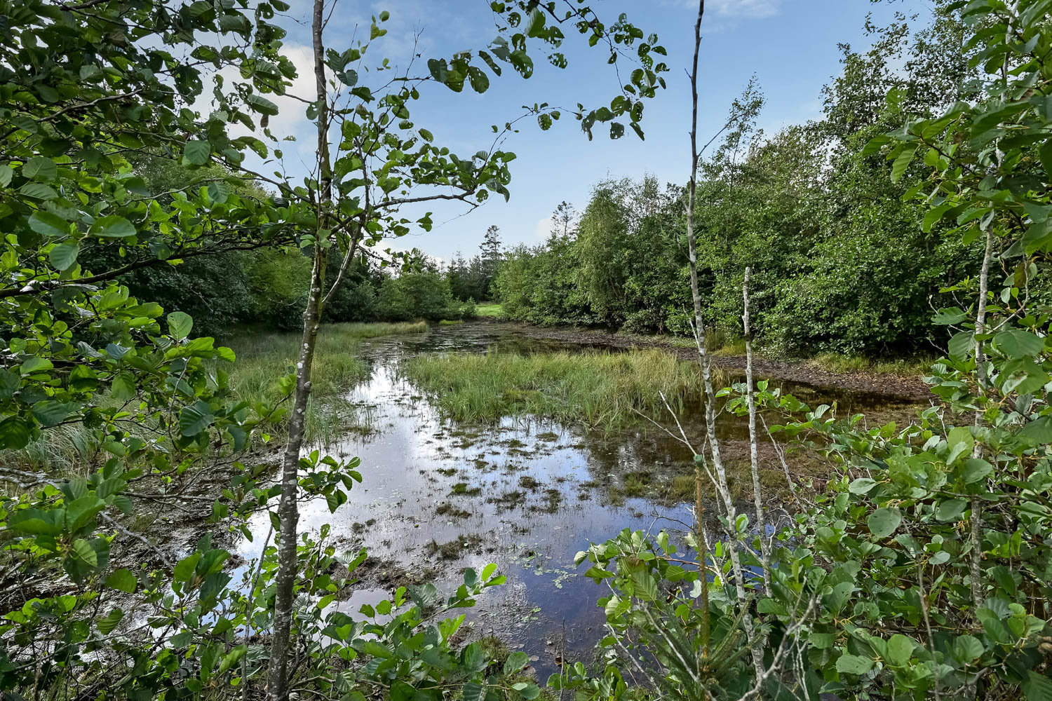 Fremhævet  billede i fuldskærmstilstand. Billede af Saugmandsvej 17, Møborg, 7660 Bækmarksbro
