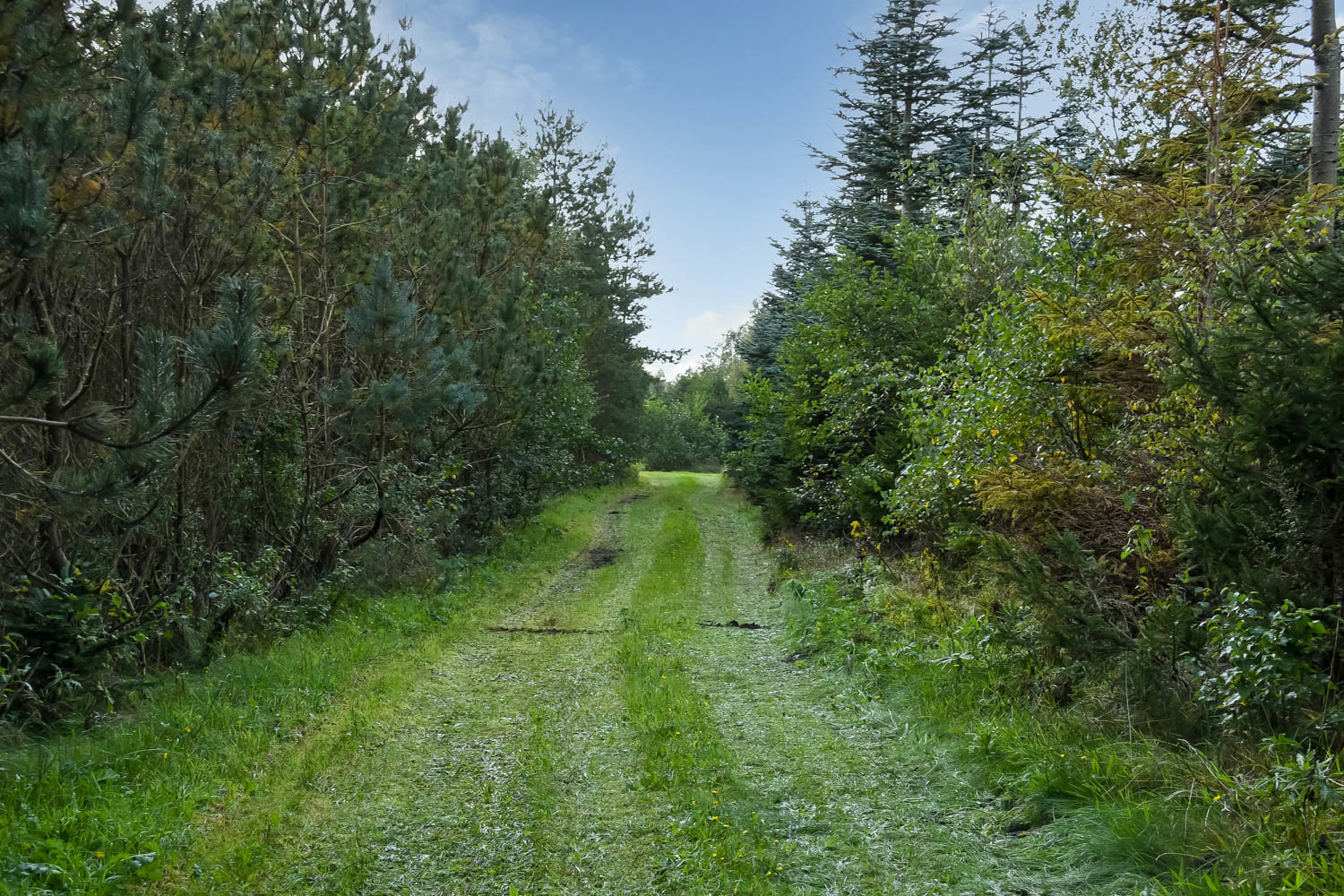 Fremhævet  billede i fuldskærmstilstand. Billede af Saugmandsvej 17, Møborg, 7660 Bækmarksbro