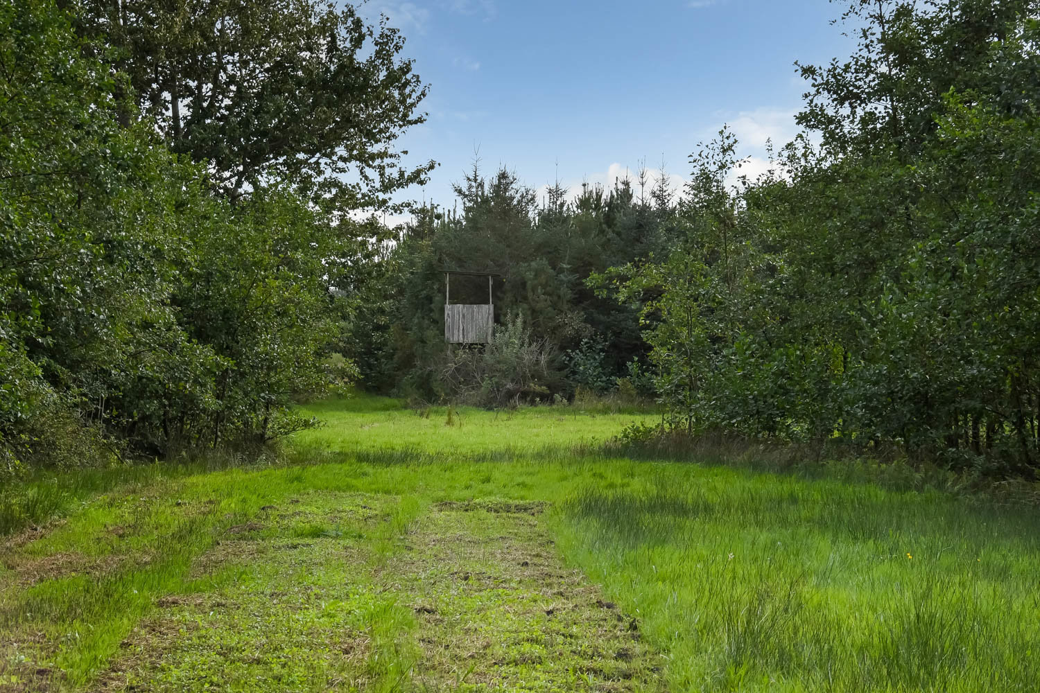 Fremhævet  billede i fuldskærmstilstand. Billede af Saugmandsvej 17, Møborg, 7660 Bækmarksbro