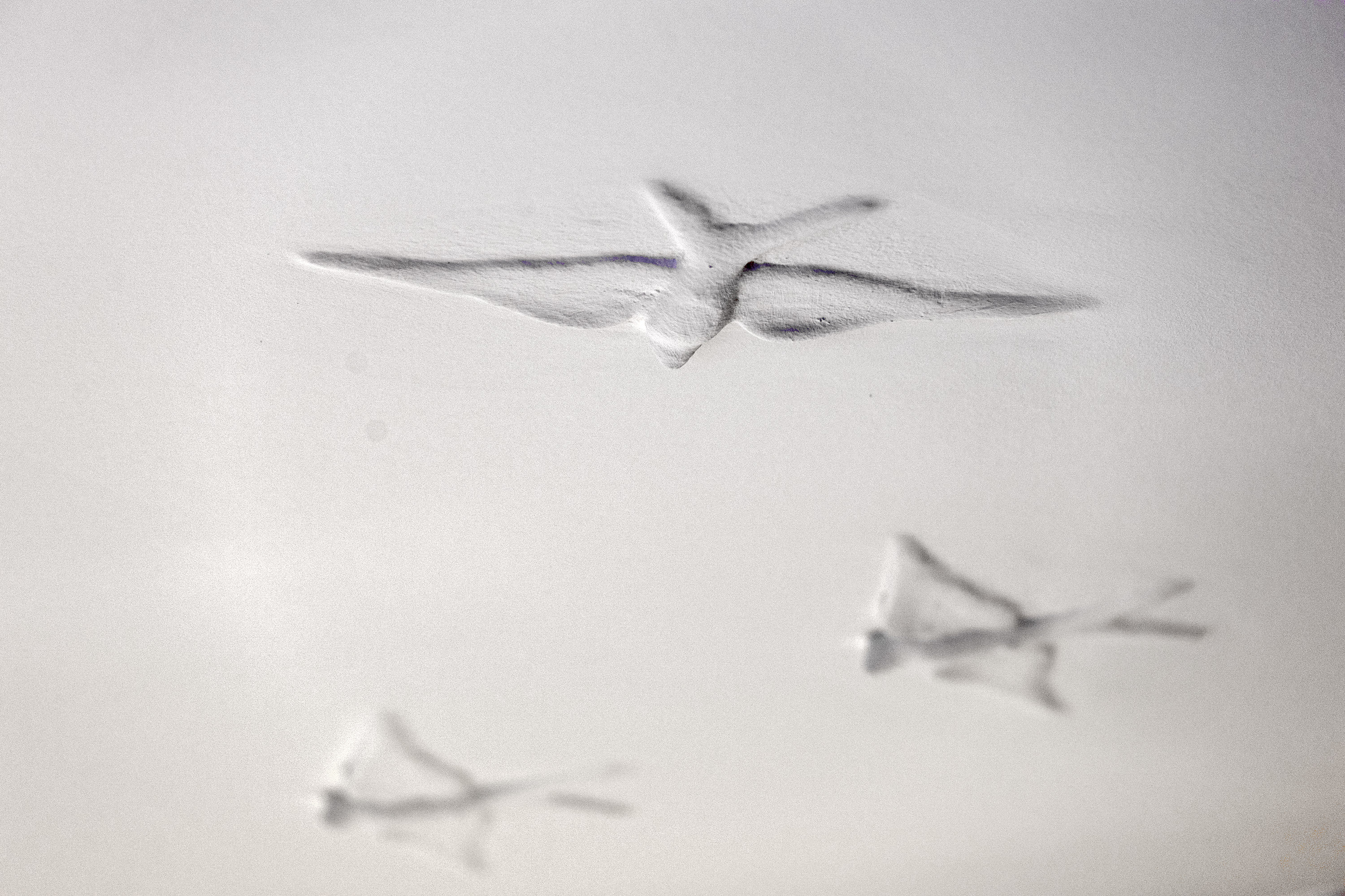 Fremhævet  billede i fuldskærmstilstand. Billede af Køsters Alle 12, 8900 Randers C