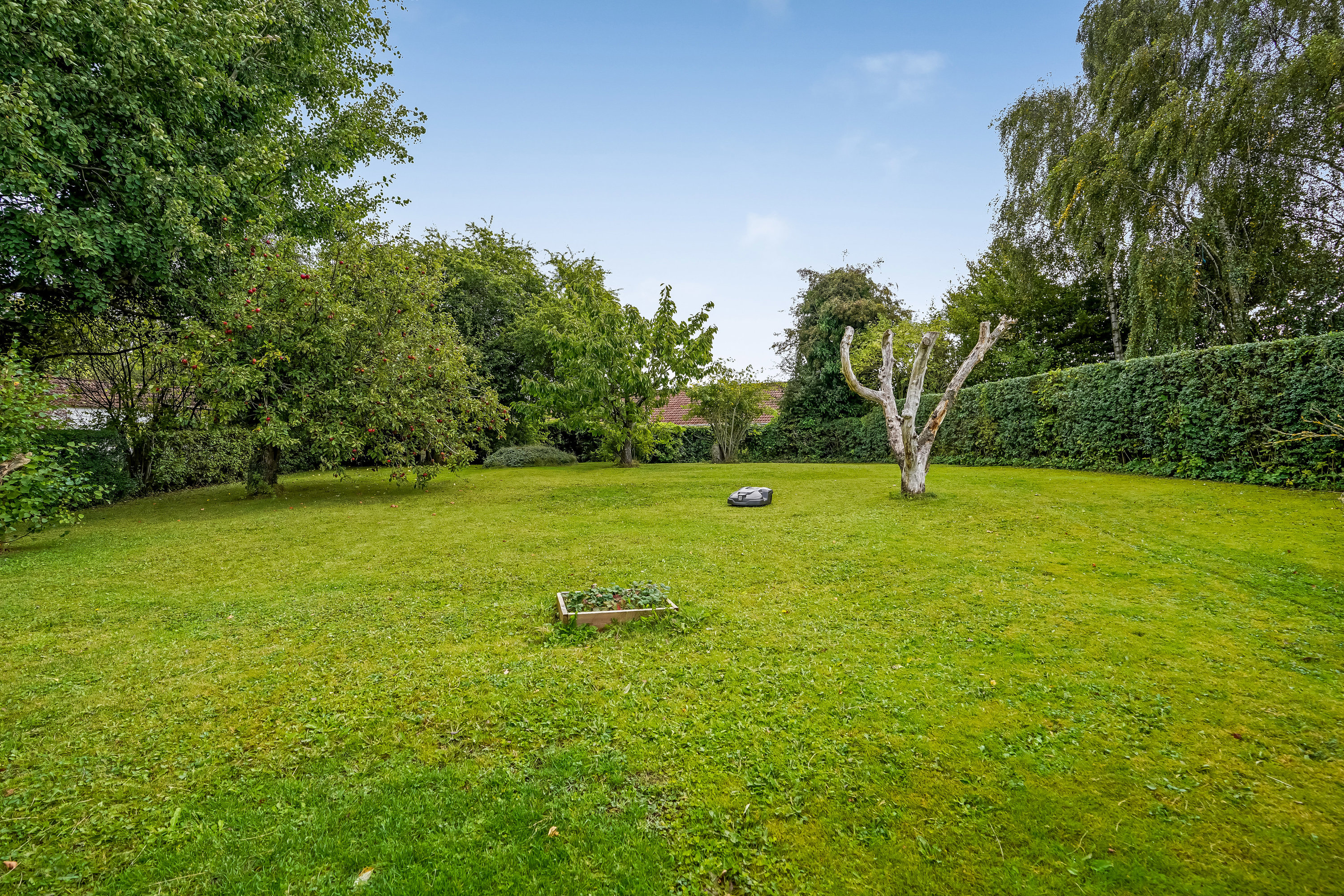 Miniaturebillede 2: have. Billede af Myntevænget 26, 5500 Middelfart