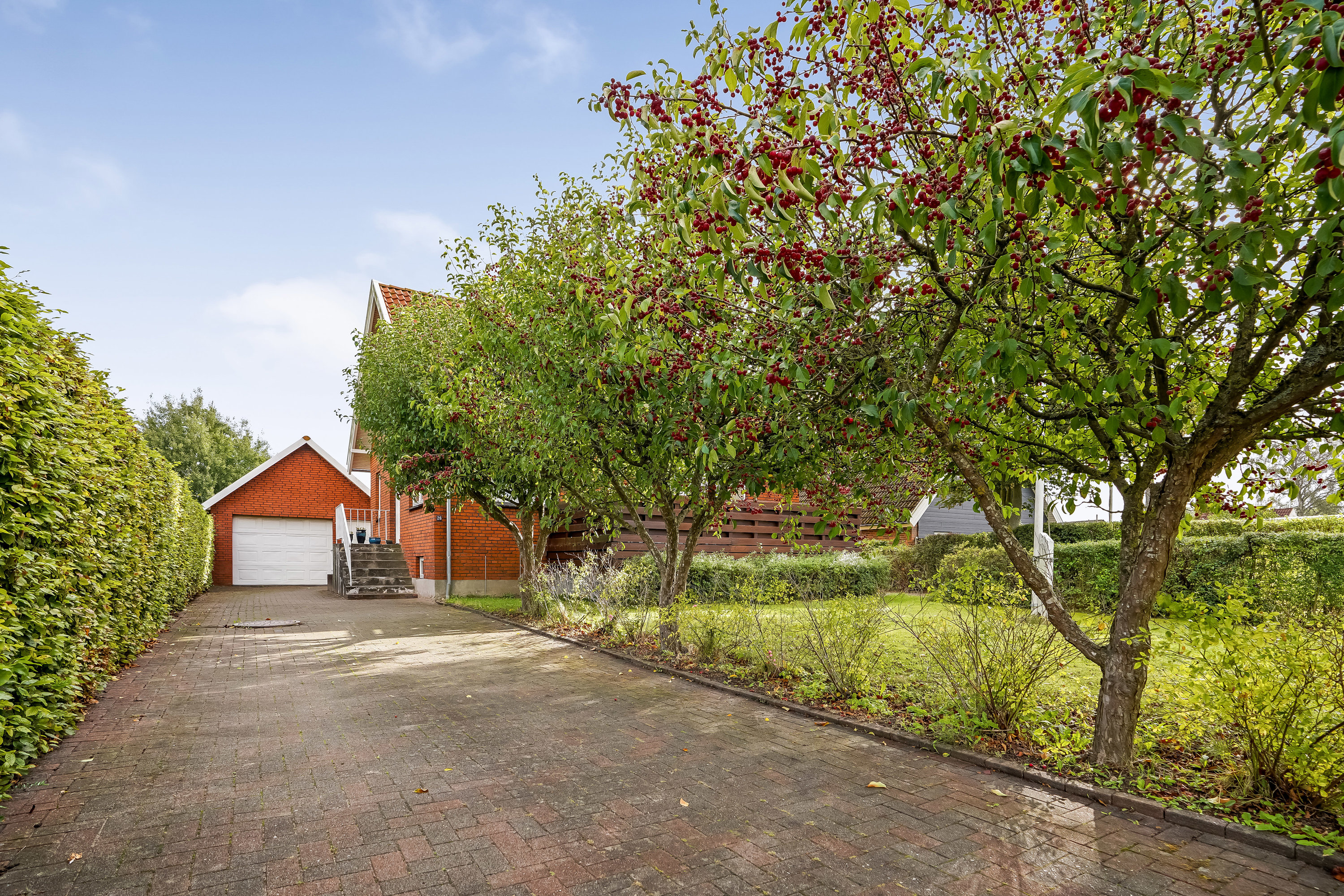 Miniaturebillede 1: have. Billede af Myntevænget 26, 5500 Middelfart