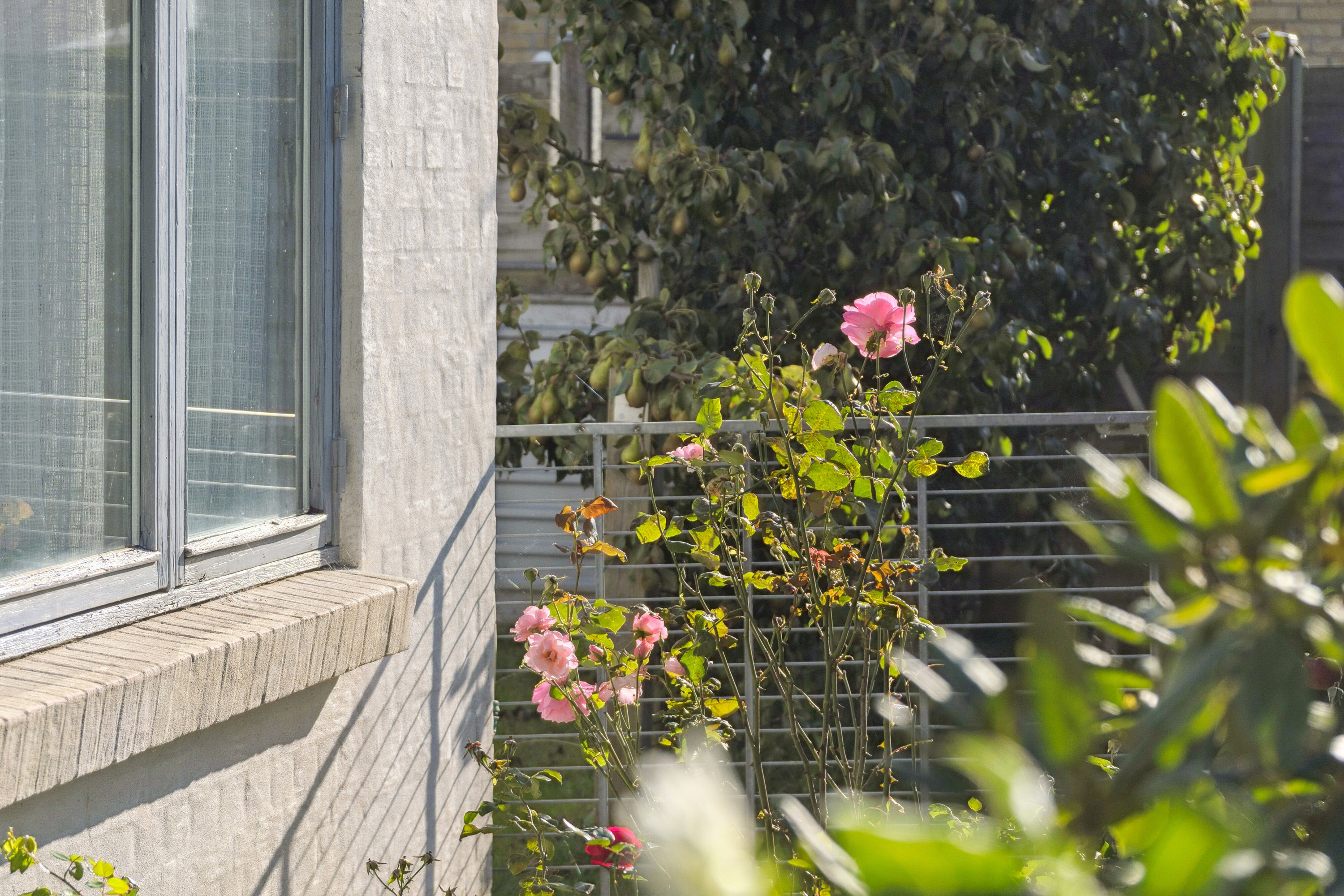 Fremhævet udendørs billede i fuldskærmstilstand. Billede af Lindevej 28, 4760 Vordingborg