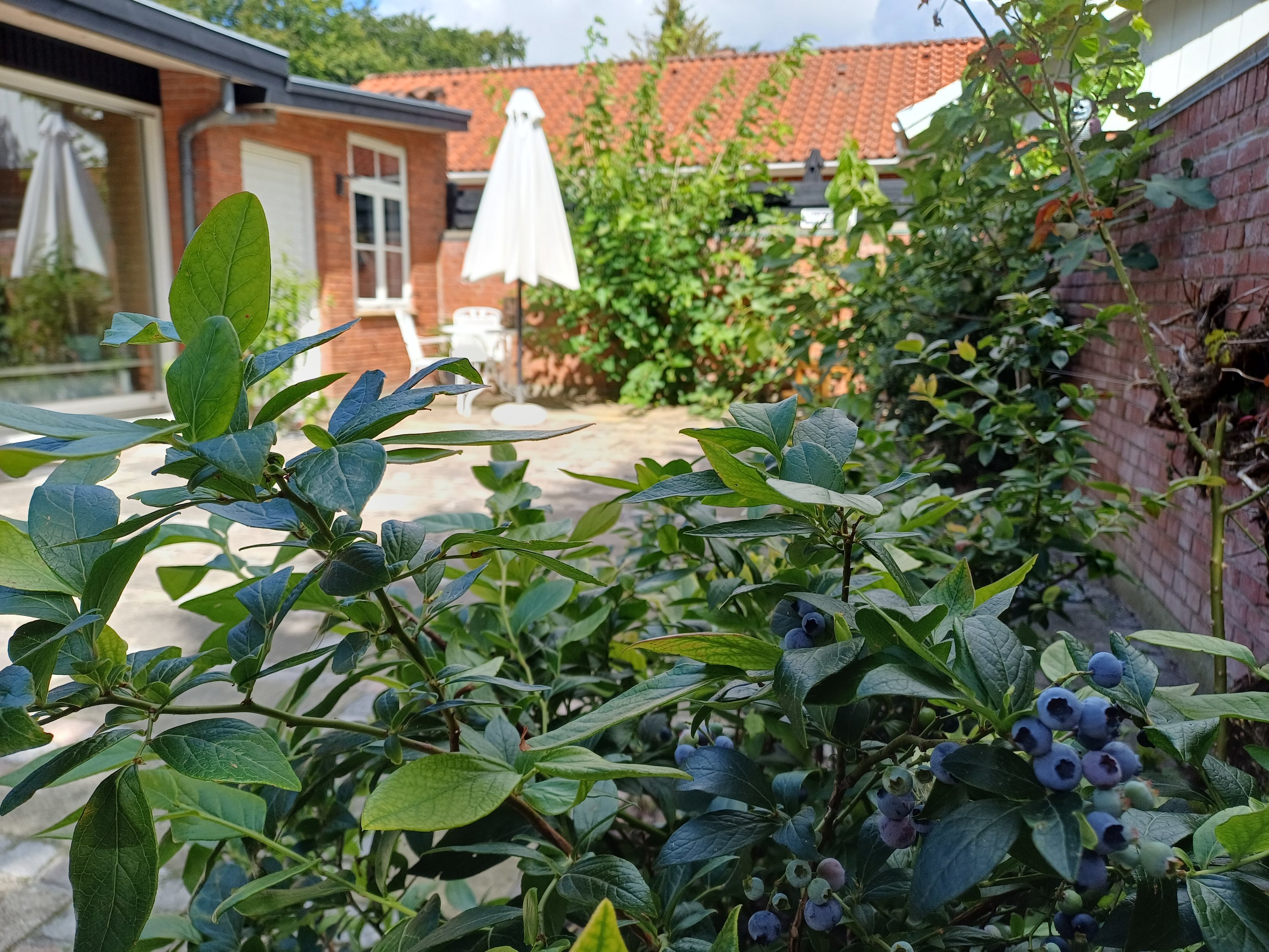 Fremhævet  billede i fuldskærmstilstand. Billede af Klosteralleen 18, 4100 Ringsted