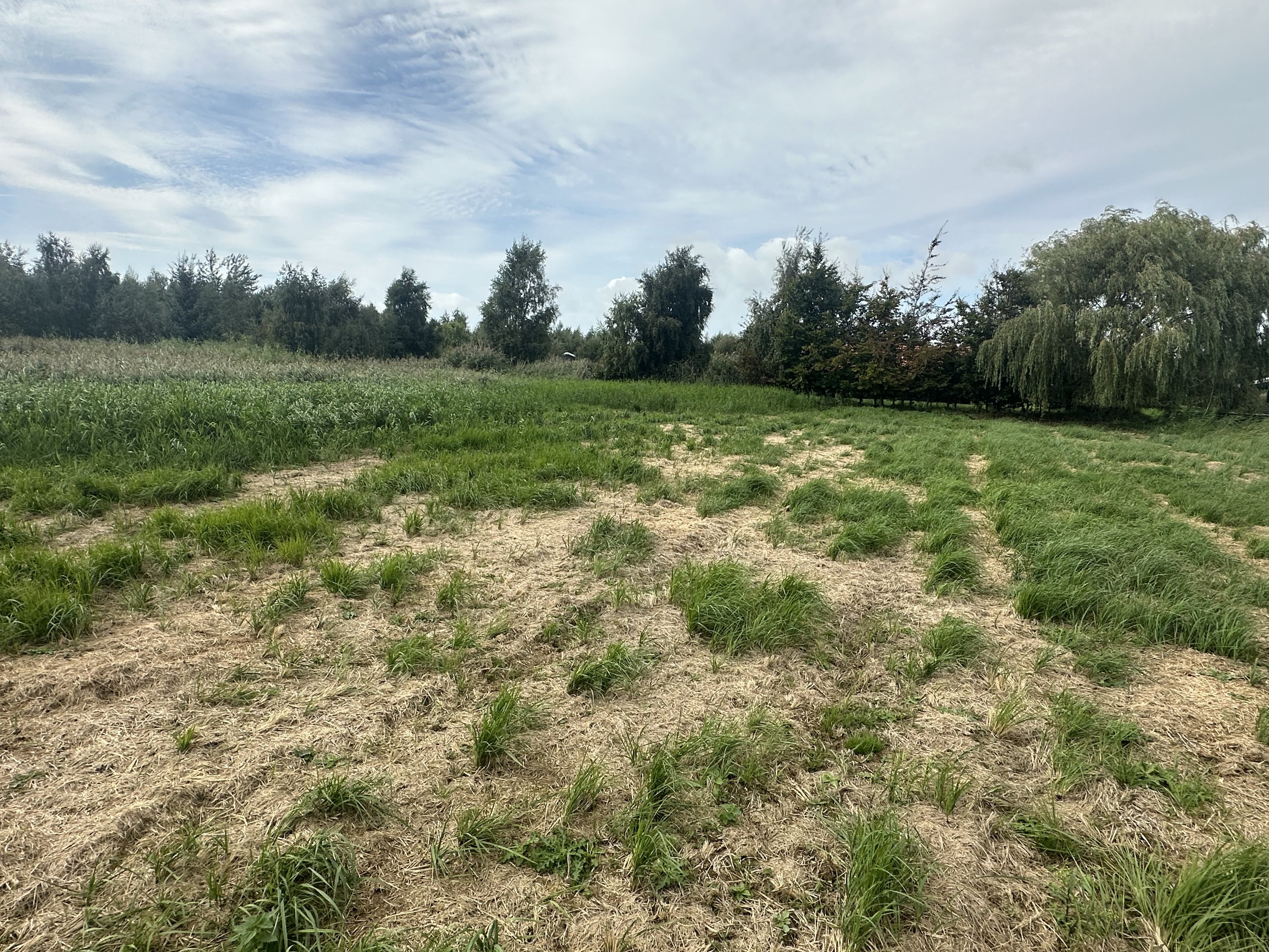 Miniaturebillede 2: . Billede af Myggefjed 15, Bredfjed, 4970 Rødby