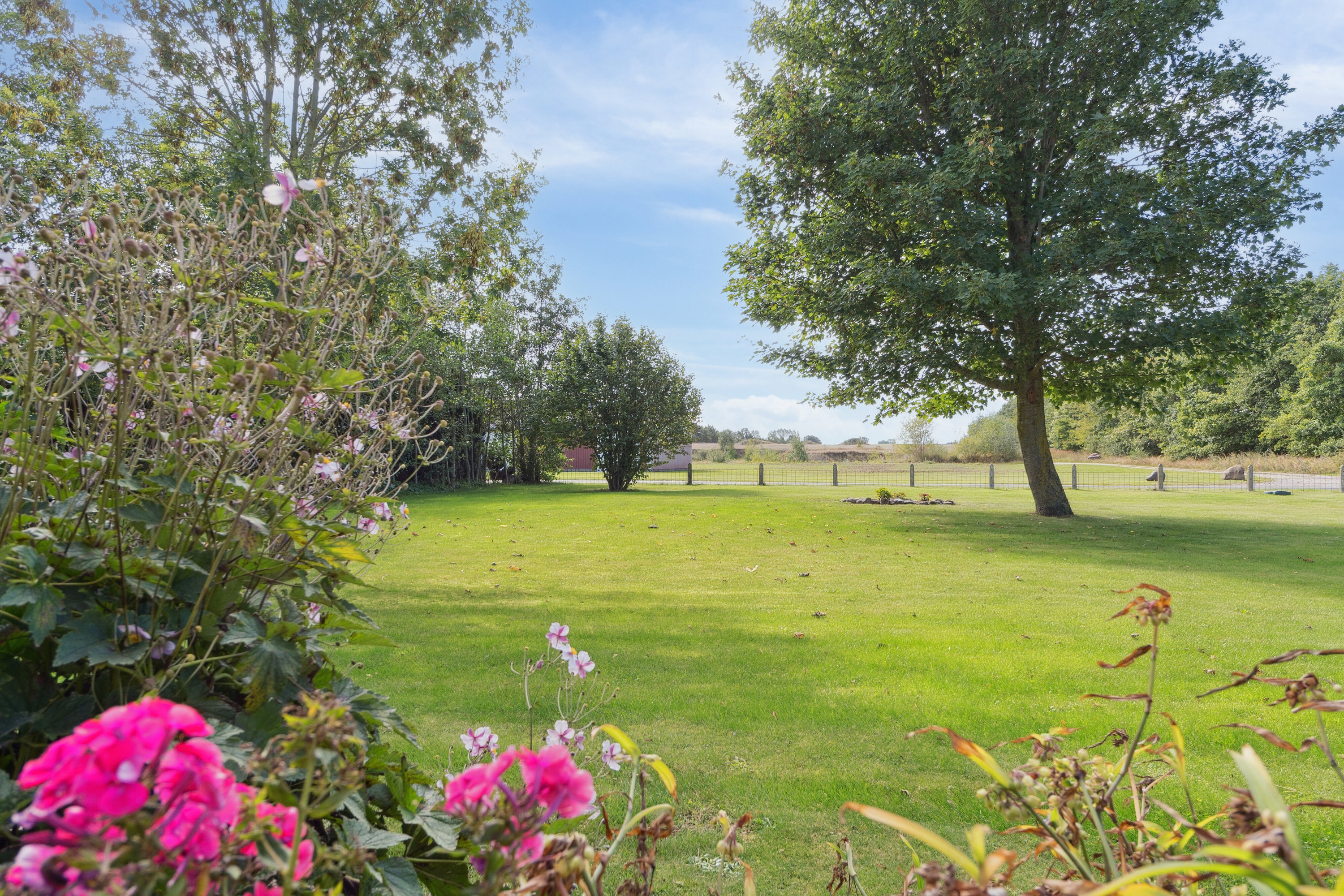 Fremhævet udendørs billede i fuldskærmstilstand. Billede af P Hansens Gyden 17, Gyngstrup Mark, 5450 Otterup