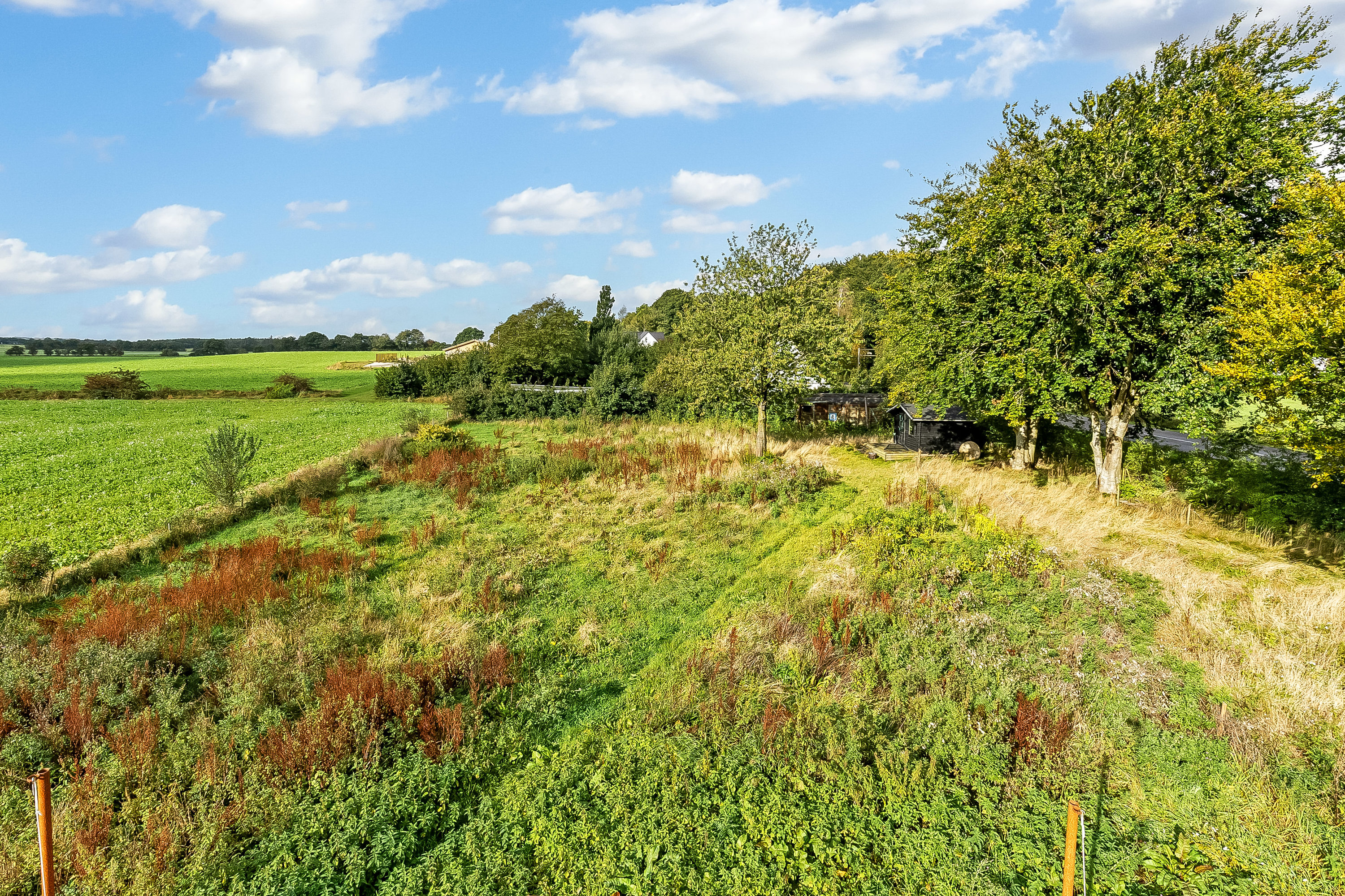Fremhævet grund billede i fuldskærmstilstand. Billede af Vamdrupvej 13, Ødis, 6580 Vamdrup