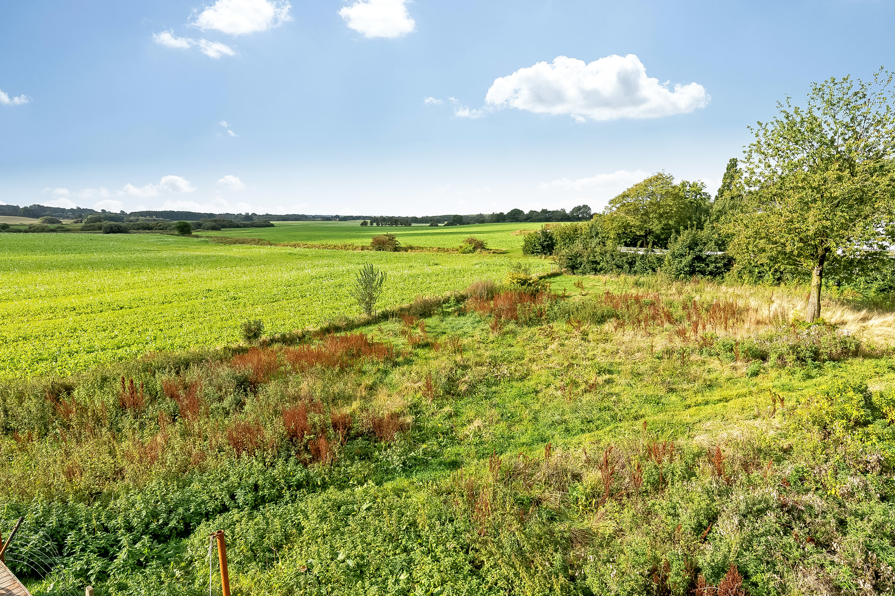 Miniaturebillede 1: grund. Billede af Vamdrupvej 13, Ødis, 6580 Vamdrup