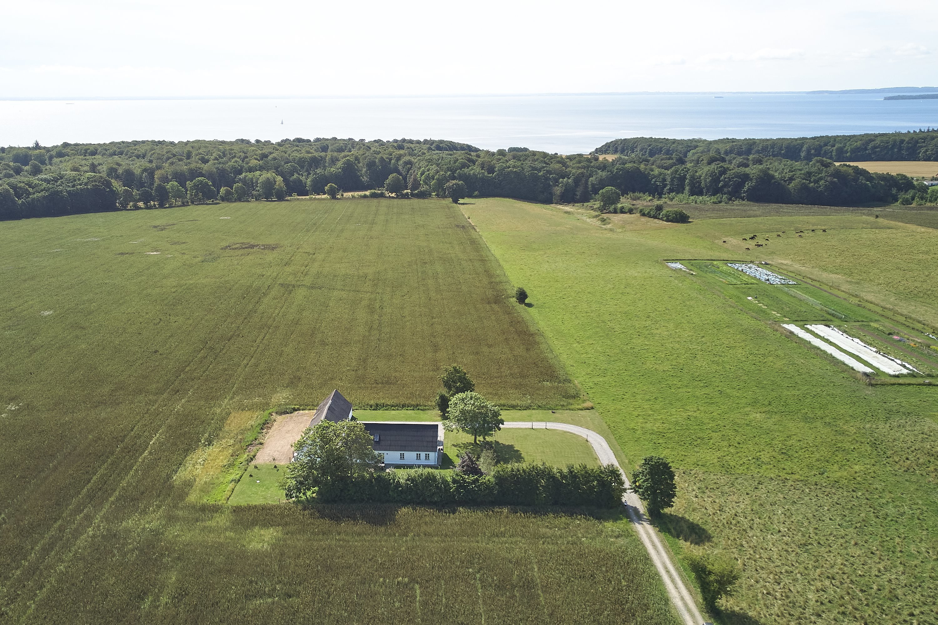 Fremhævet  billede i fuldskærmstilstand. Billede af Korsbækdal 4, 7150 Barrit