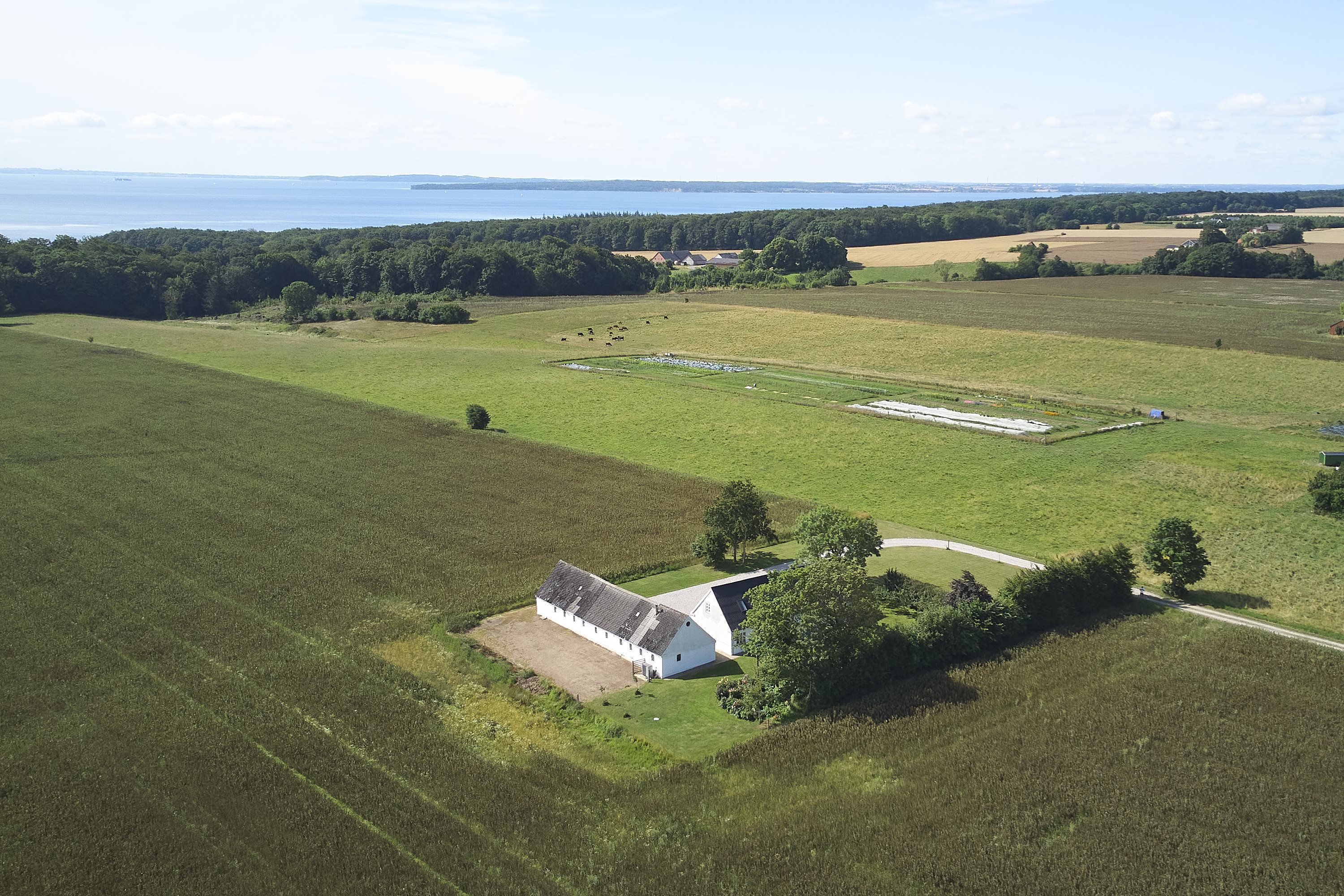 Fremhævet  billede i fuldskærmstilstand. Billede af Korsbækdal 4, 7150 Barrit