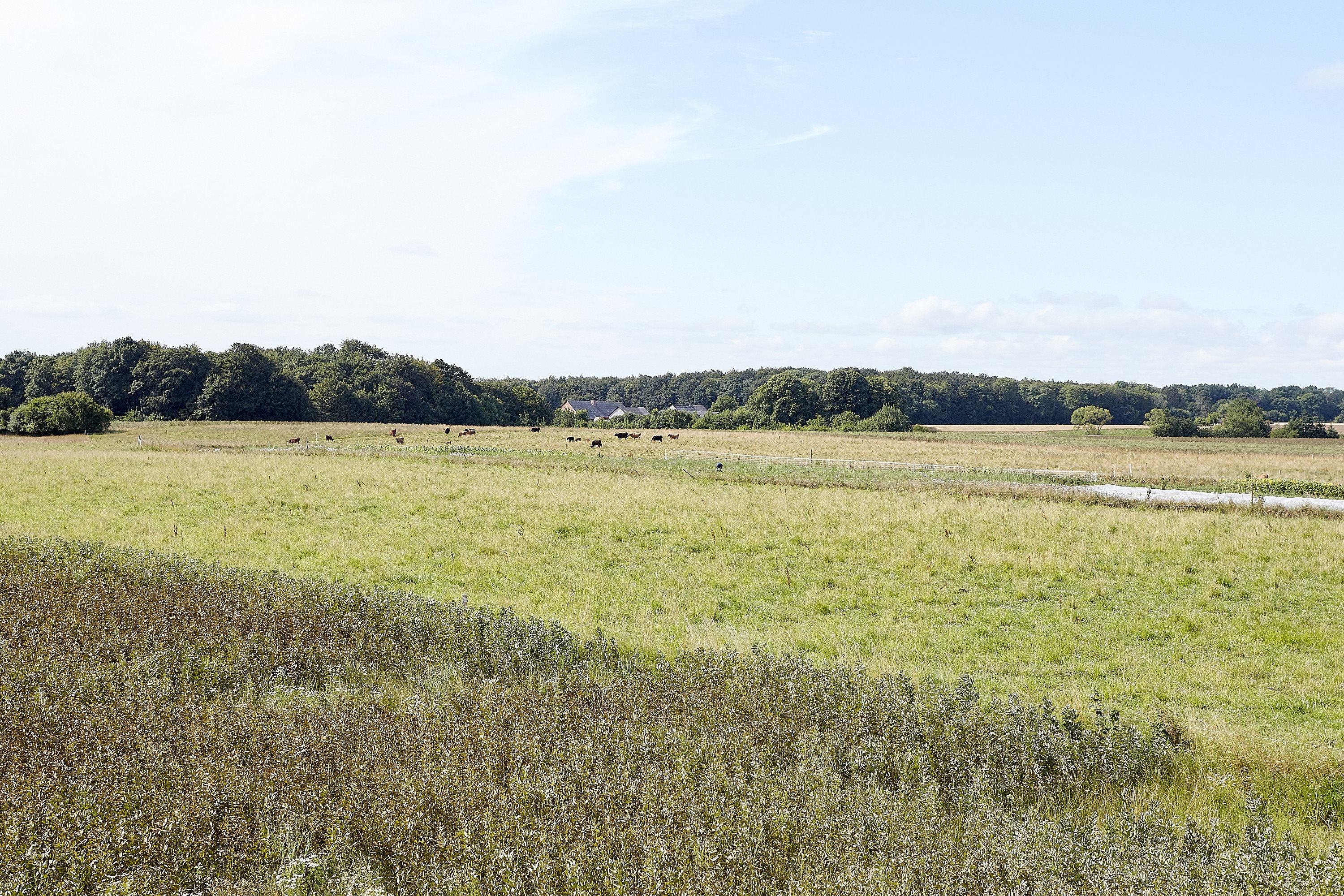 Fremhævet  billede i fuldskærmstilstand. Billede af Korsbækdal 4, 7150 Barrit