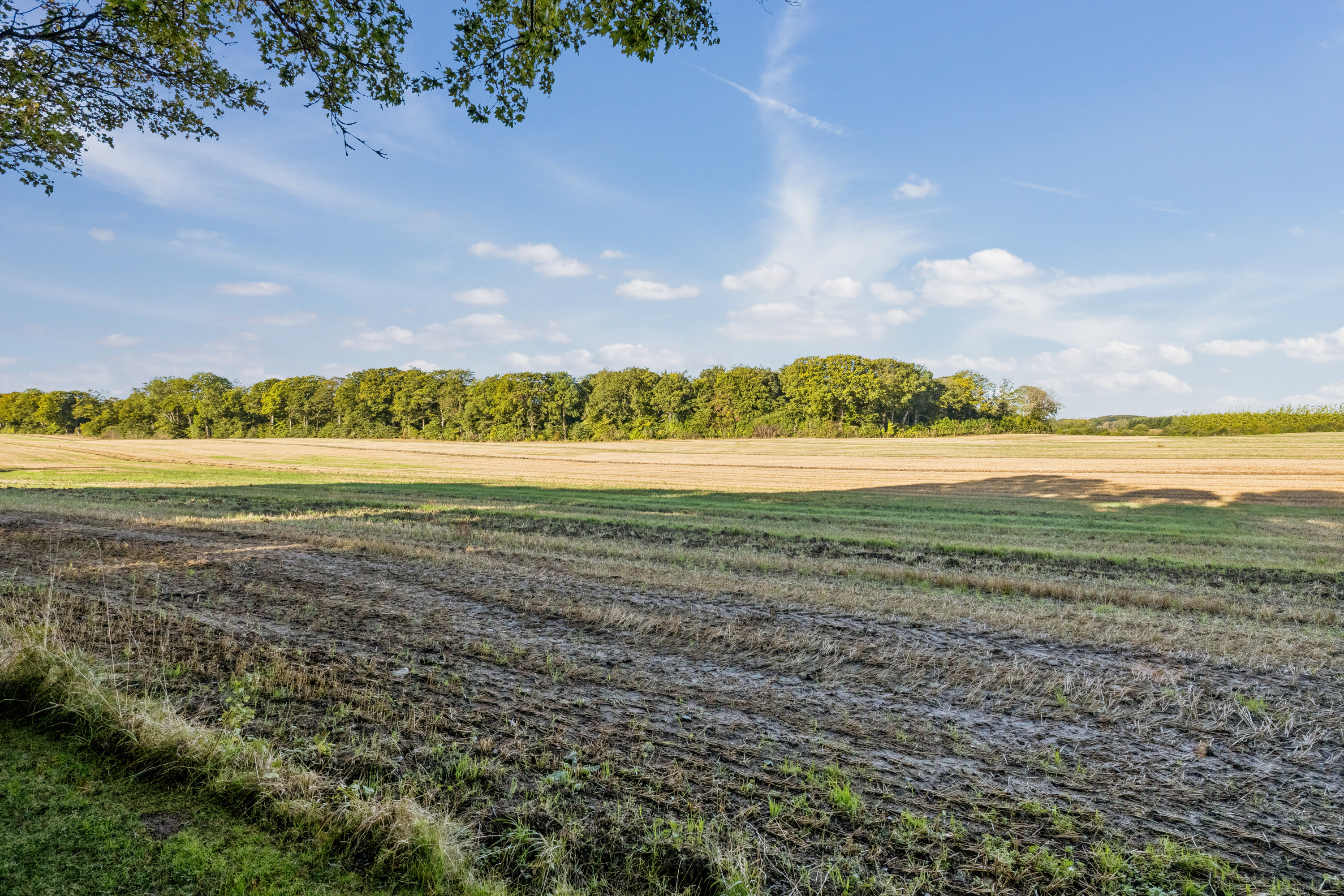 Fremhævet omgivelser billede i fuldskærmstilstand. Billede af Grenåvej 615, 8541 Skødstrup