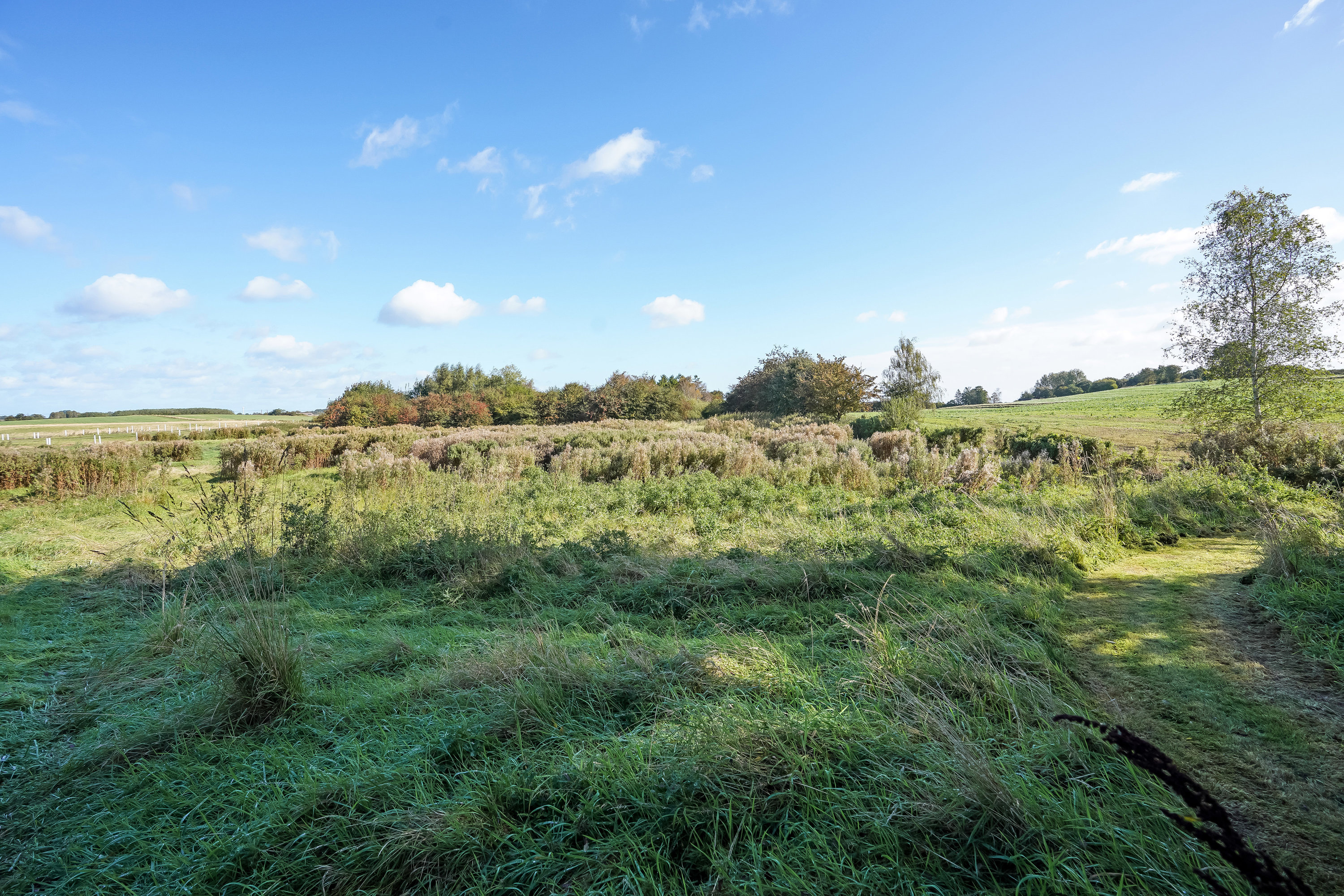 Fremhævet have billede i fuldskærmstilstand. Billede af Mosegårdvej 51, Mosegård, 5580 Nørre Aaby