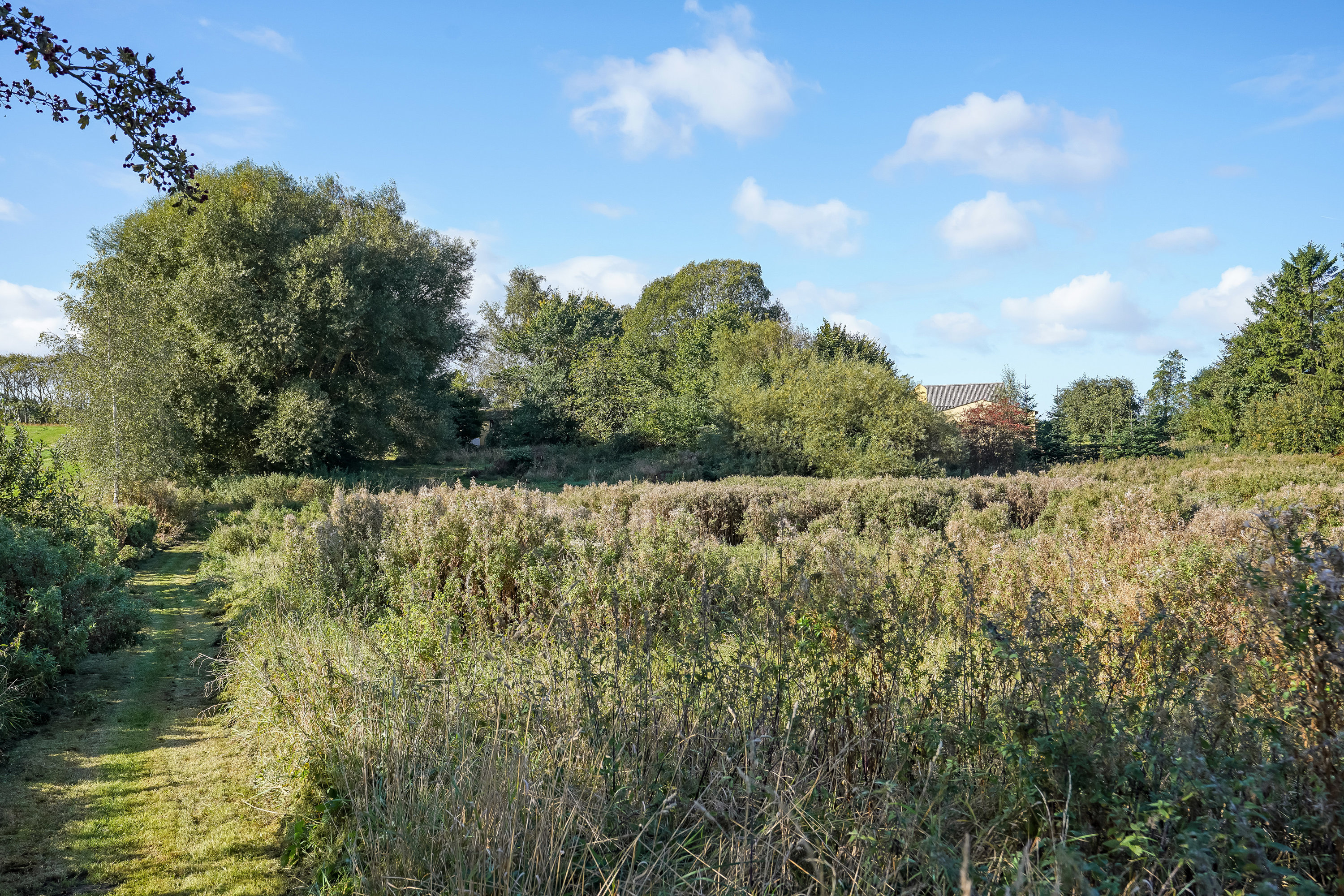 Fremhævet have billede i fuldskærmstilstand. Billede af Mosegårdvej 51, Mosegård, 5580 Nørre Aaby