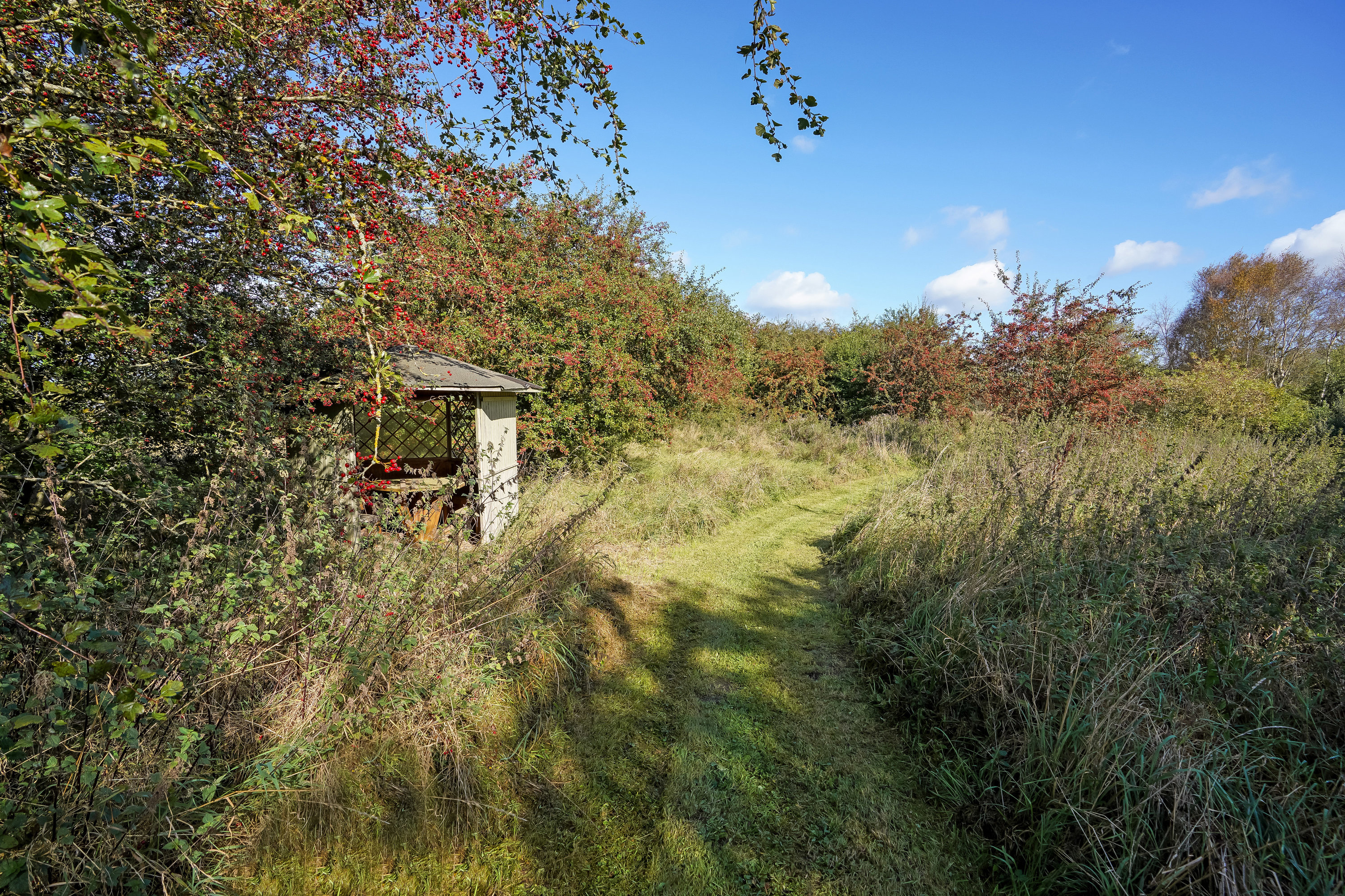 Fremhævet have billede i fuldskærmstilstand. Billede af Mosegårdvej 51, Mosegård, 5580 Nørre Aaby