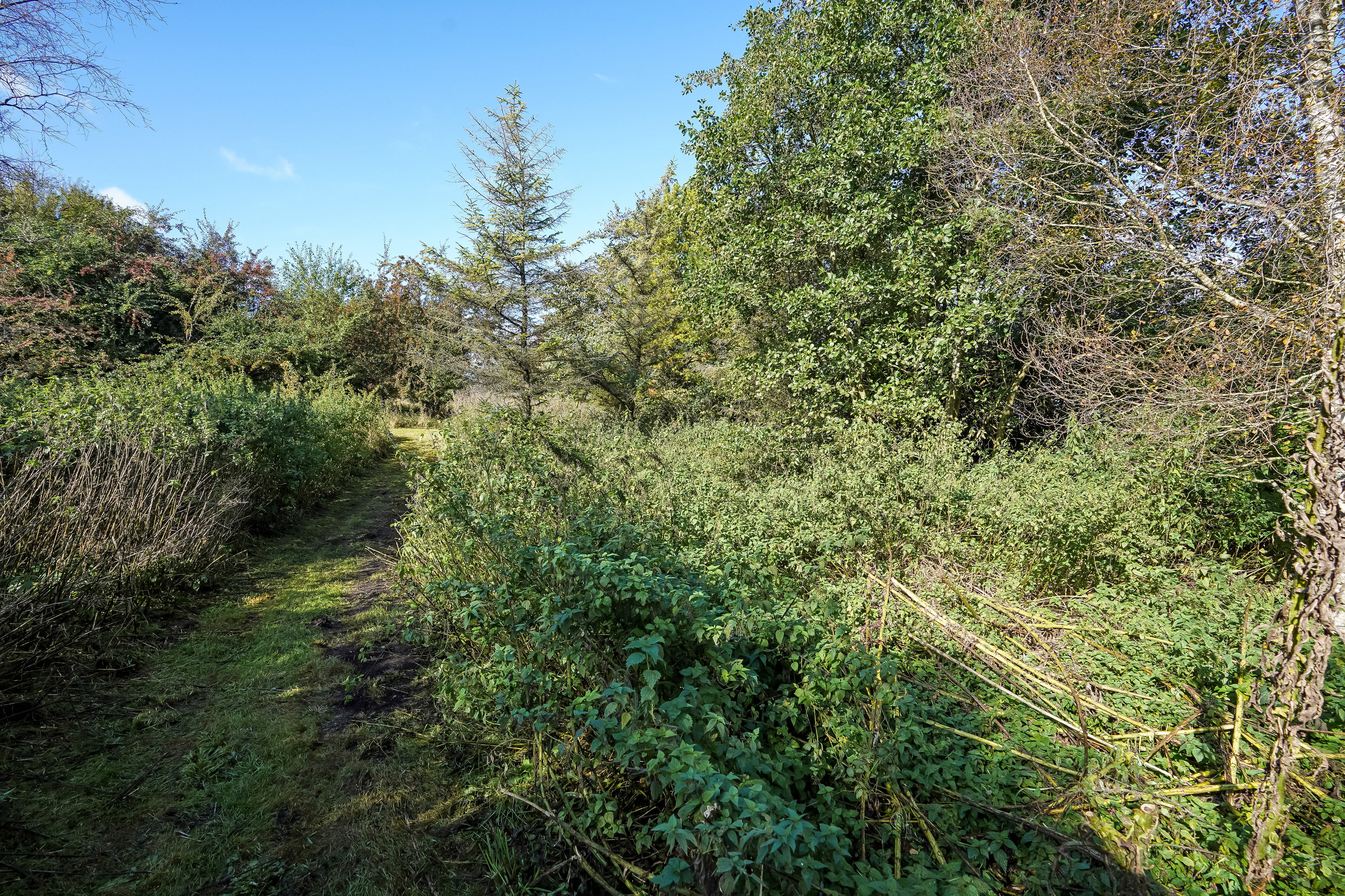 Fremhævet have billede i fuldskærmstilstand. Billede af Mosegårdvej 51, Mosegård, 5580 Nørre Aaby