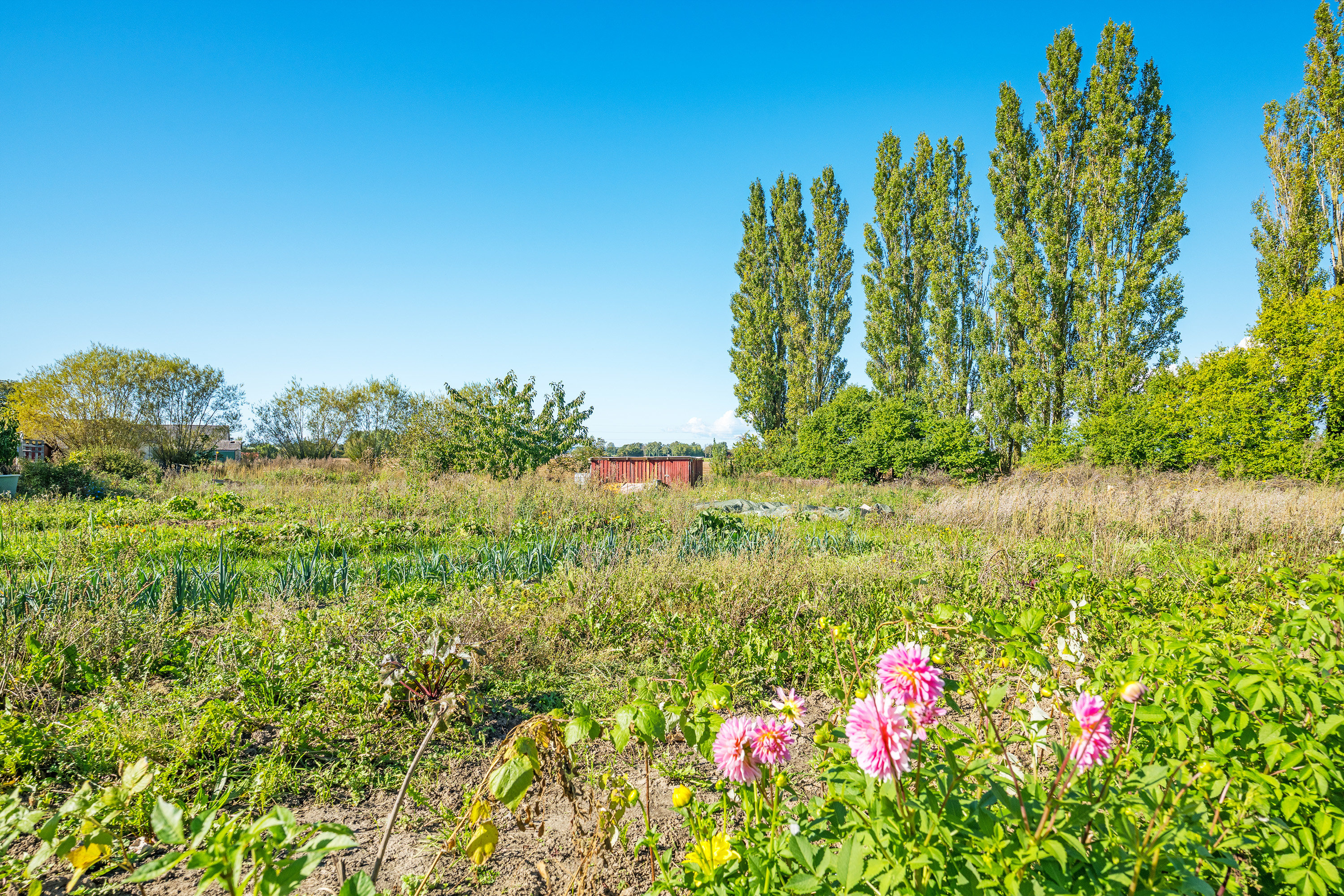 Fremhævet  billede i fuldskærmstilstand. Billede af Vigvej 62, Nørre Vedby, 4840 Nørre Alslev