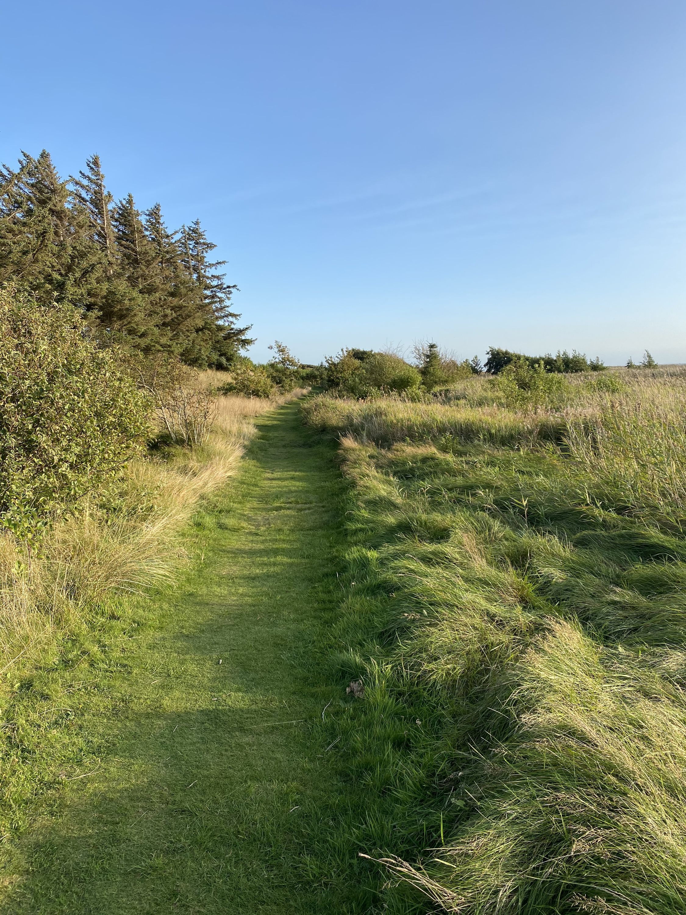 Fremhævet område billede i fuldskærmstilstand. Billede af Syrenvej 139, Stauning, 6900 Skjern