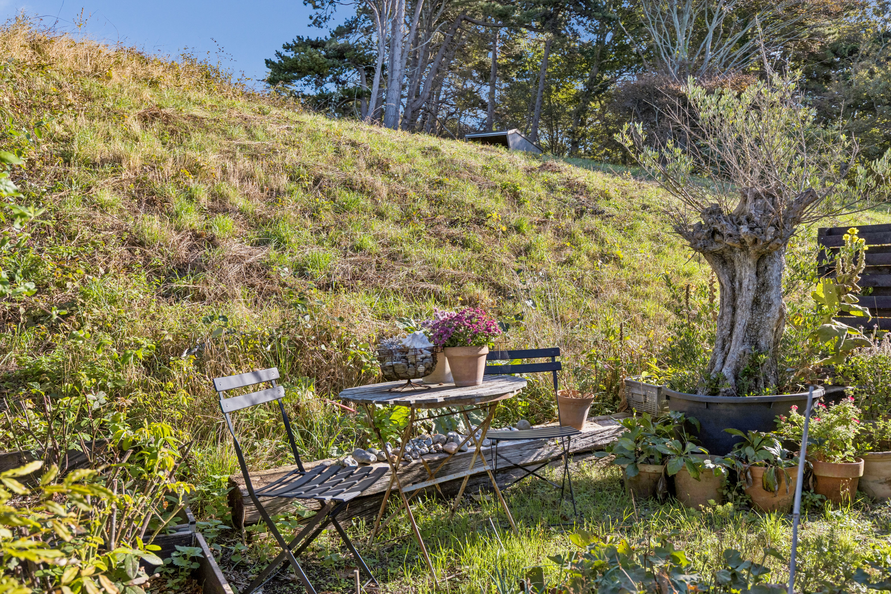Fremhævet have billede i fuldskærmstilstand. Billede af Vindekilde Strandvej 28, Bjergene, 4540 Fårevejle
