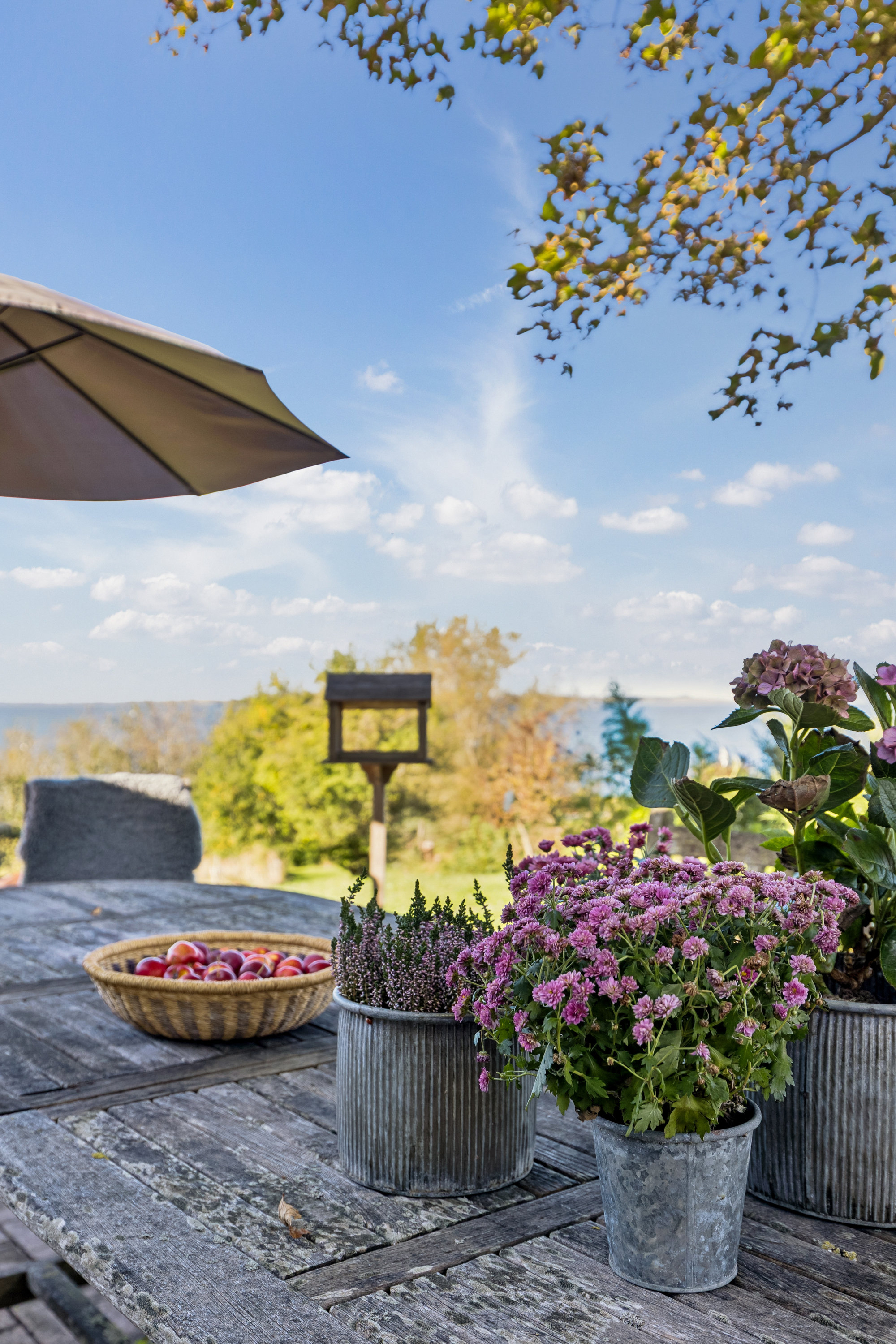Fremhævet terrasse billede i fuldskærmstilstand. Billede af Vindekilde Strandvej 28, Bjergene, 4540 Fårevejle