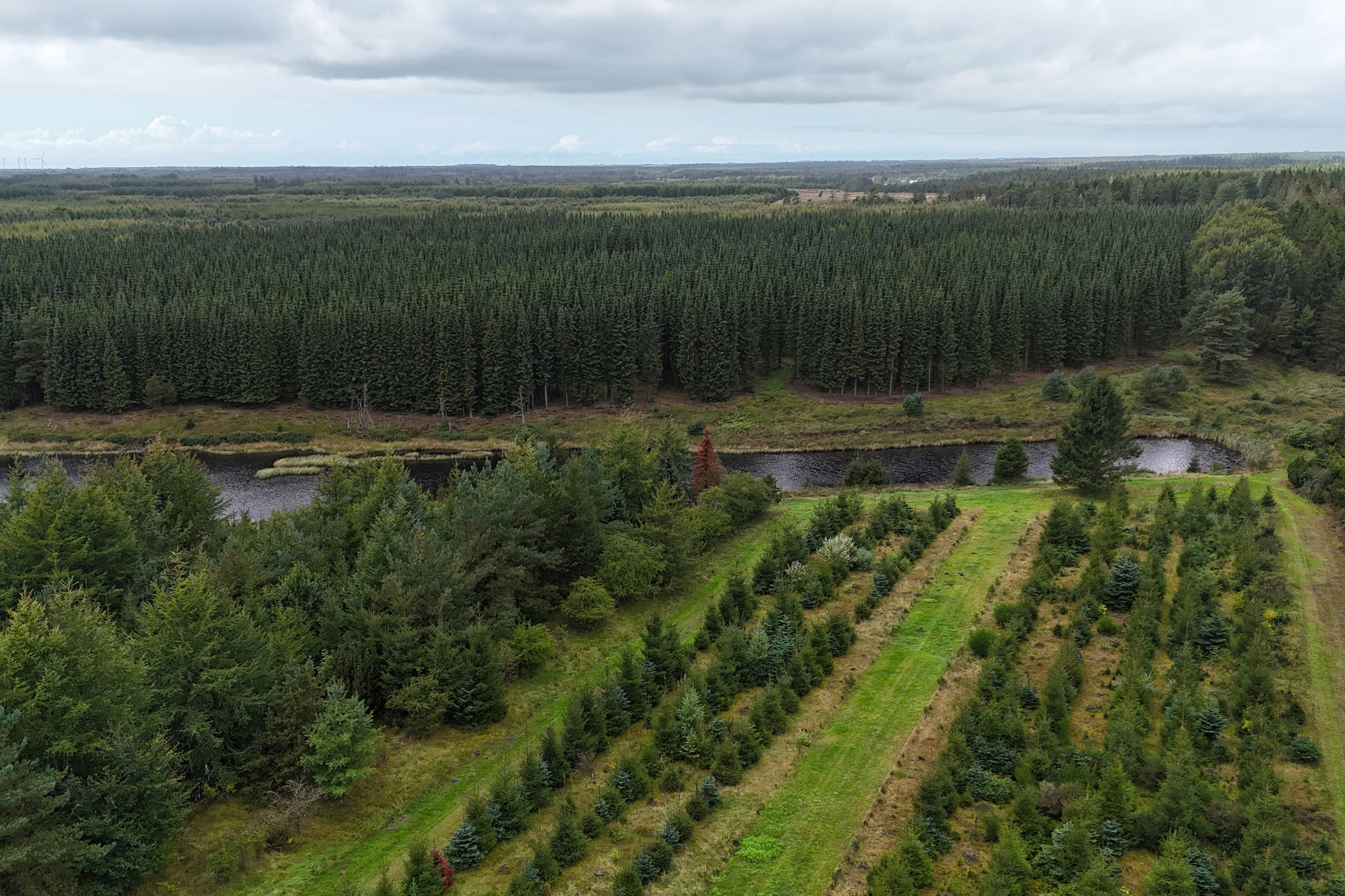 Fremhævet  billede i fuldskærmstilstand. Billede af Saugmandsvej 17, Møborg, 7660 Bækmarksbro