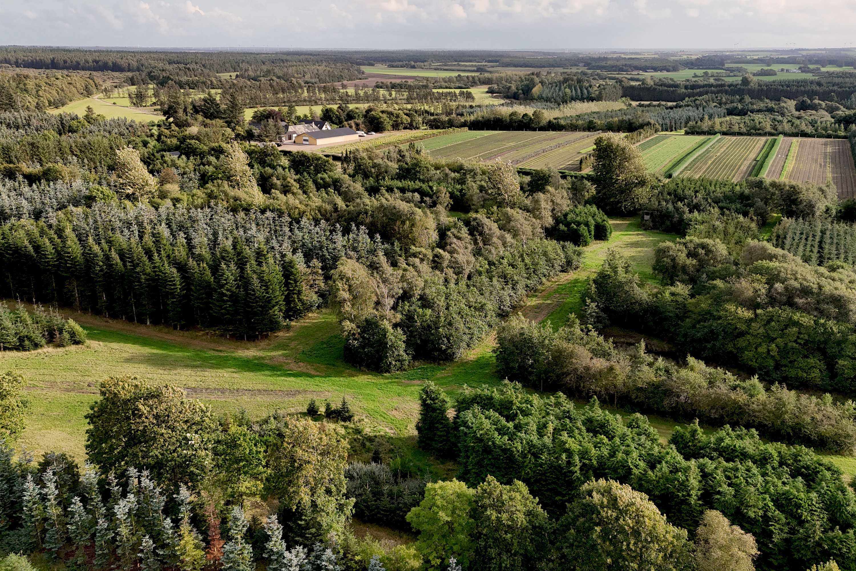 Fremhævet  billede i fuldskærmstilstand. Billede af Saugmandsvej 17, Møborg, 7660 Bækmarksbro