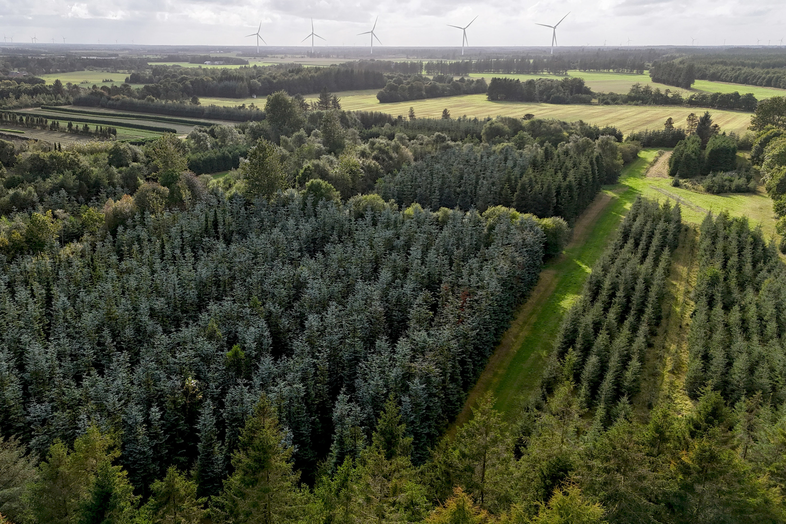 Fremhævet  billede i fuldskærmstilstand. Billede af Saugmandsvej 17, Møborg, 7660 Bækmarksbro