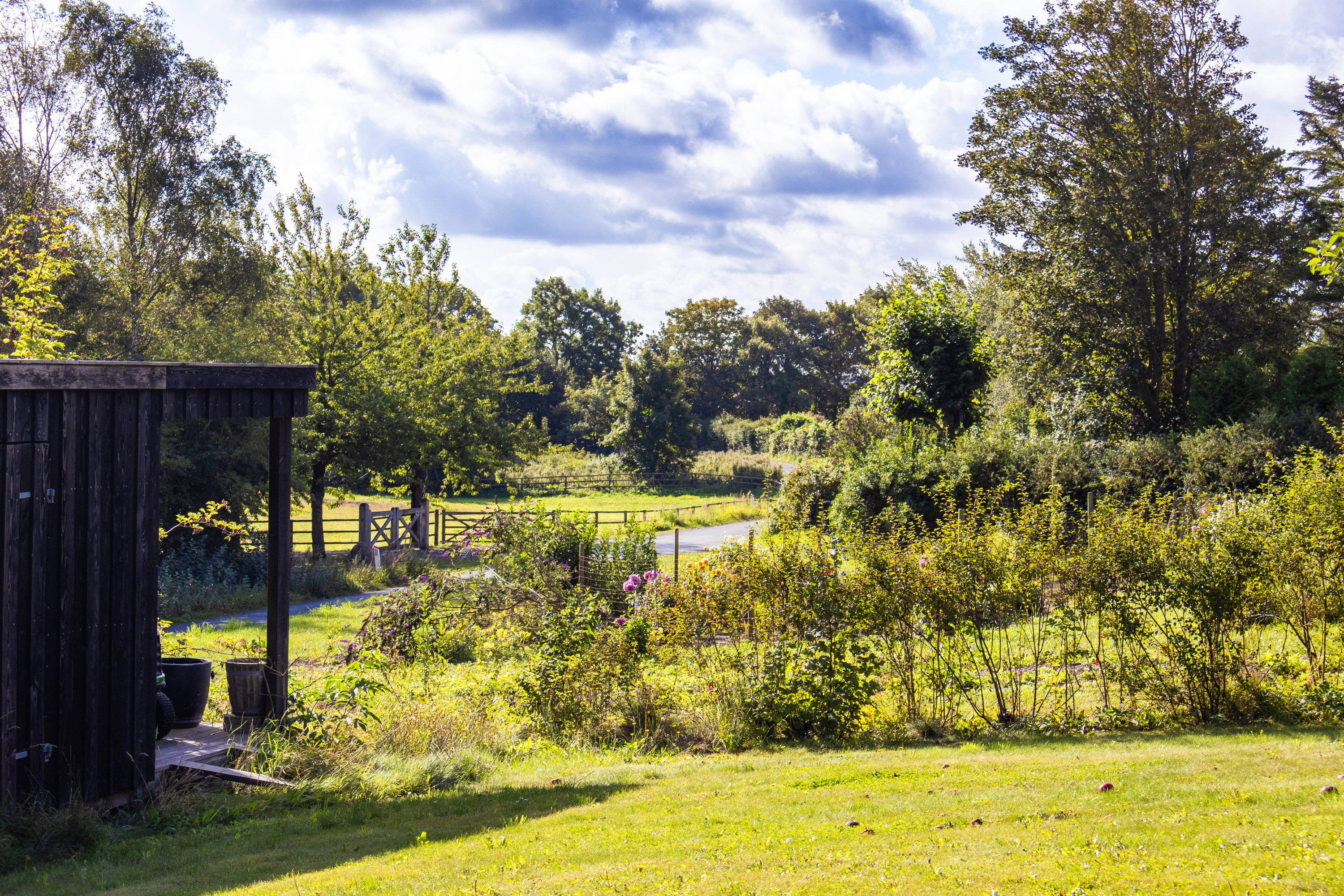 Fremhævet  billede i fuldskærmstilstand. Billede af Øleddet 9, Bogensø, 5390 Martofte