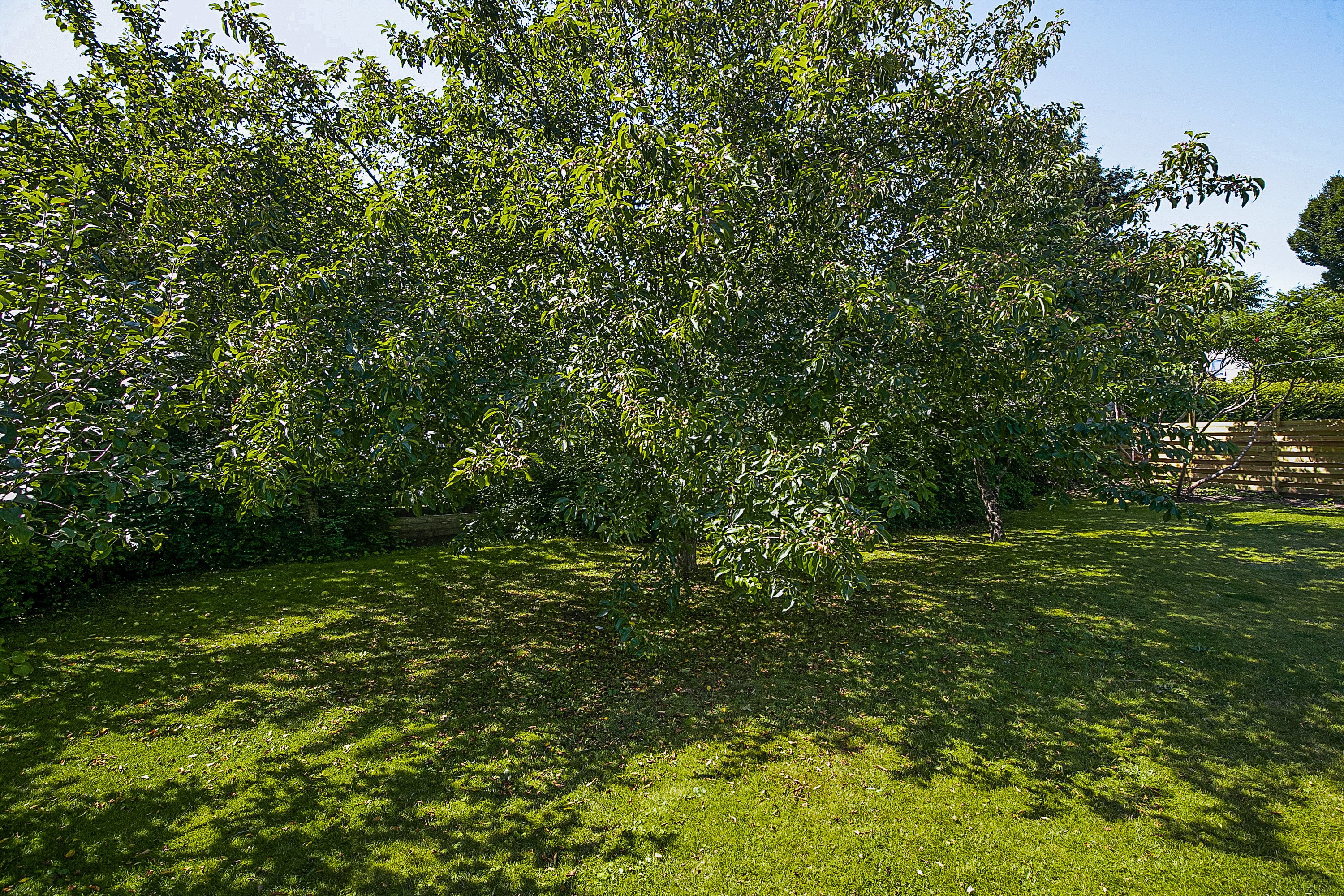 Miniaturebillede 2: haven. Billede af Grindstedvej 19, Uggerhalne, 9310 Vodskov