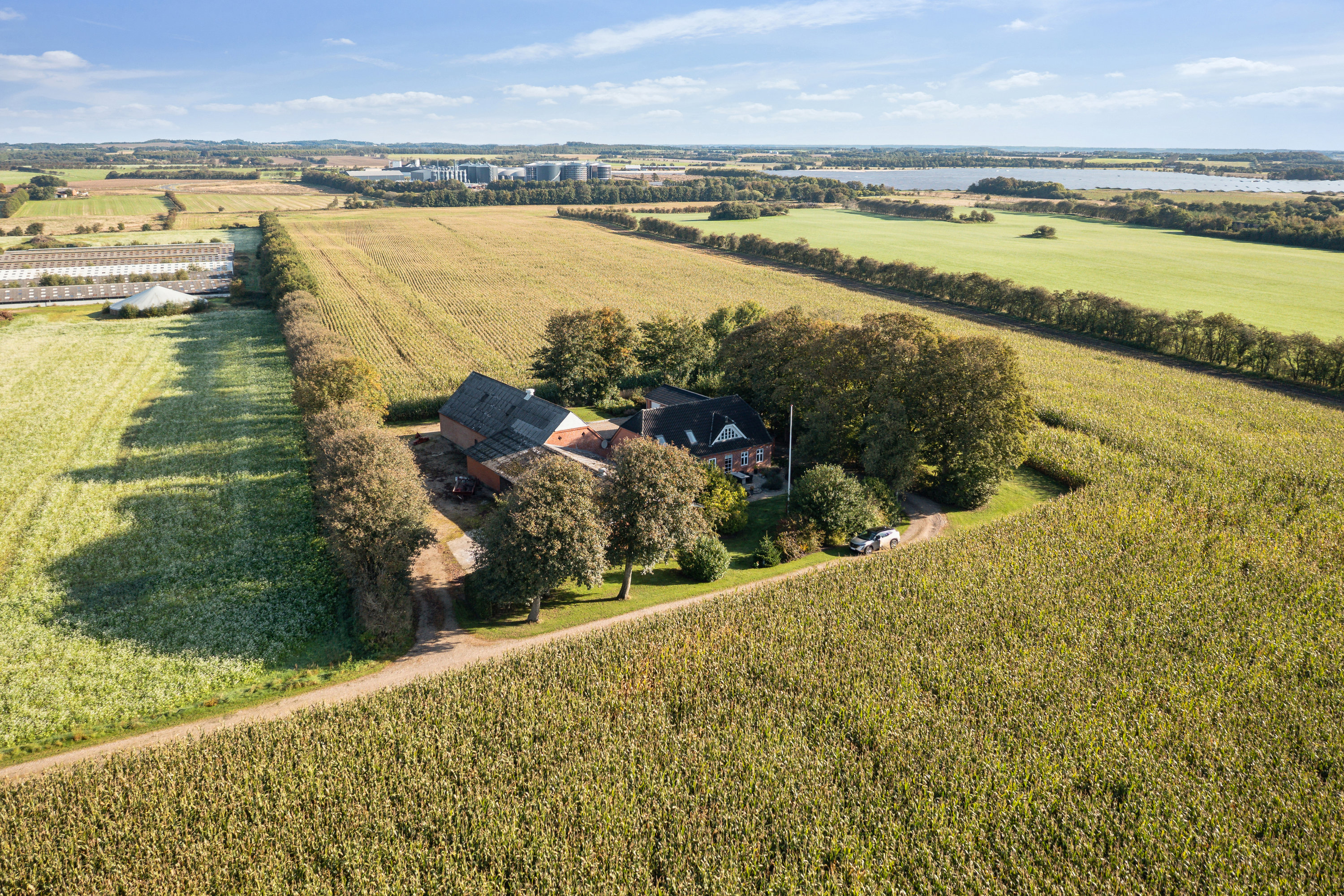 Fremhævet have billede i fuldskærmstilstand. Billede af Viborgvej 303, Korsbakken, 7840 Højslev