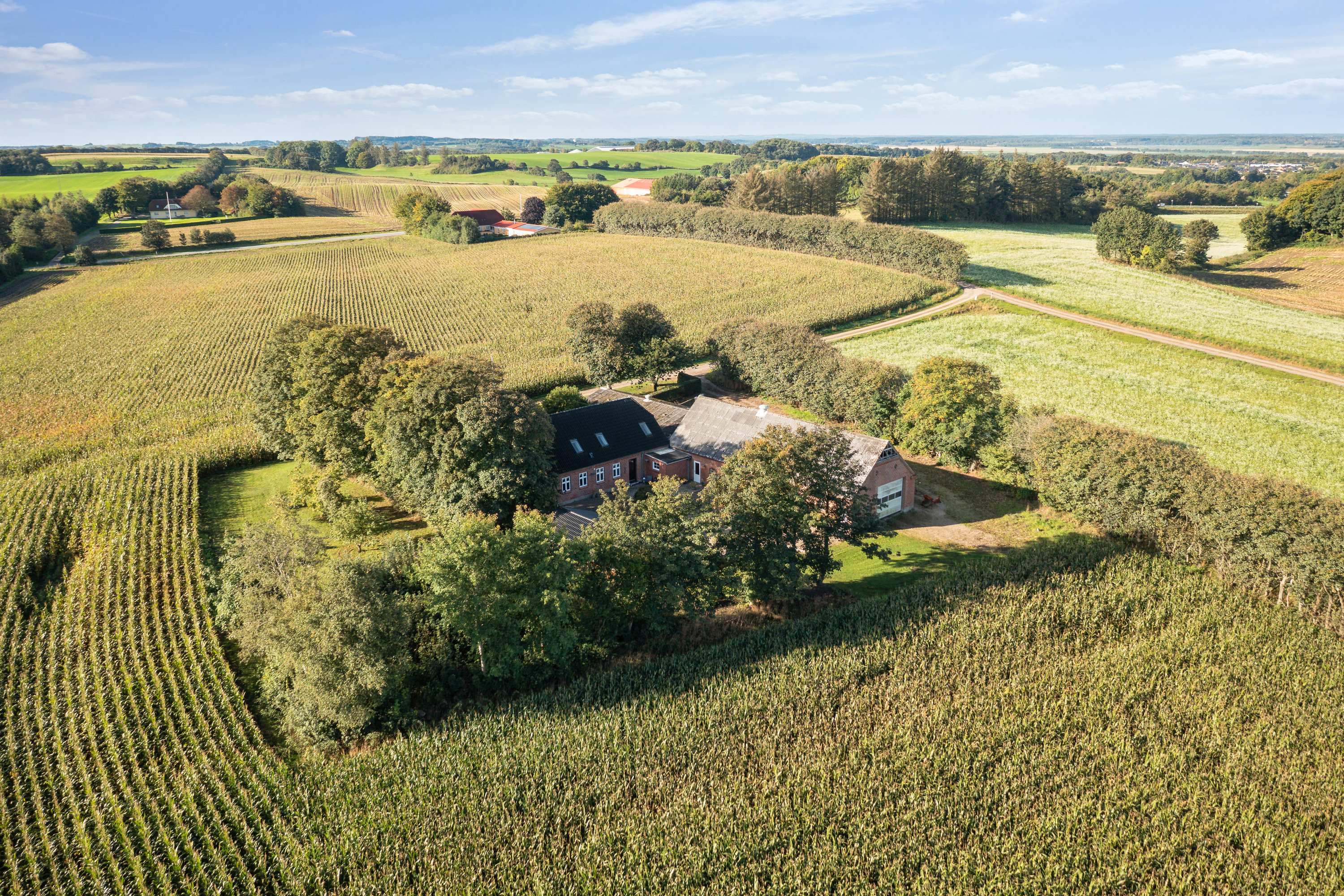 Fremhævet ejendom 1 billede i fuldskærmstilstand. Billede af Viborgvej 303, Korsbakken, 7840 Højslev