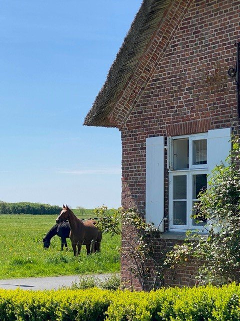 Fremhævet  billede i fuldskærmstilstand. Billede af Strandvej 2, 6280 Højer
