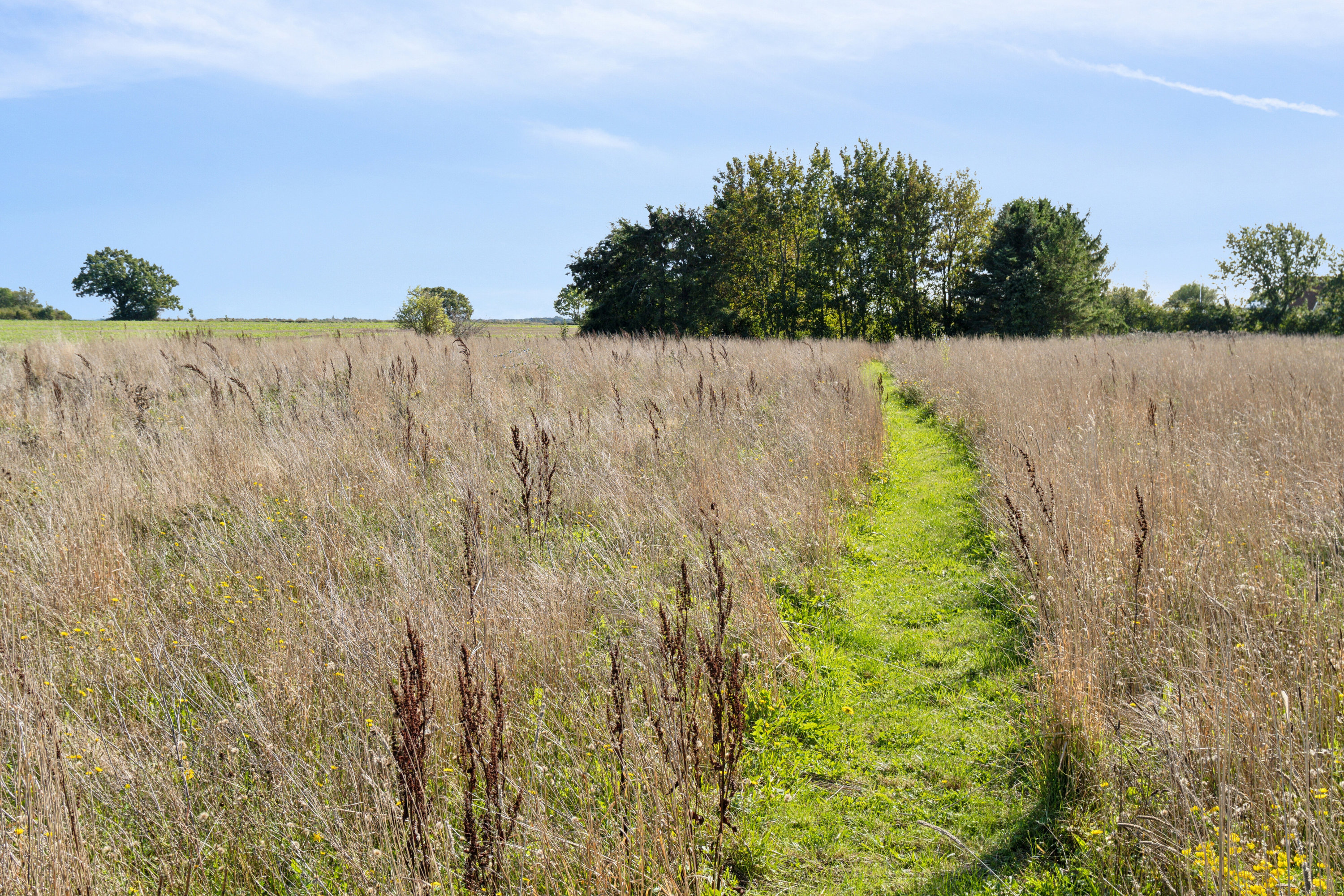Miniaturebillede 2: udendørs. Billede af Skimlevejen 1, Bodilsker, 3730 Nexø