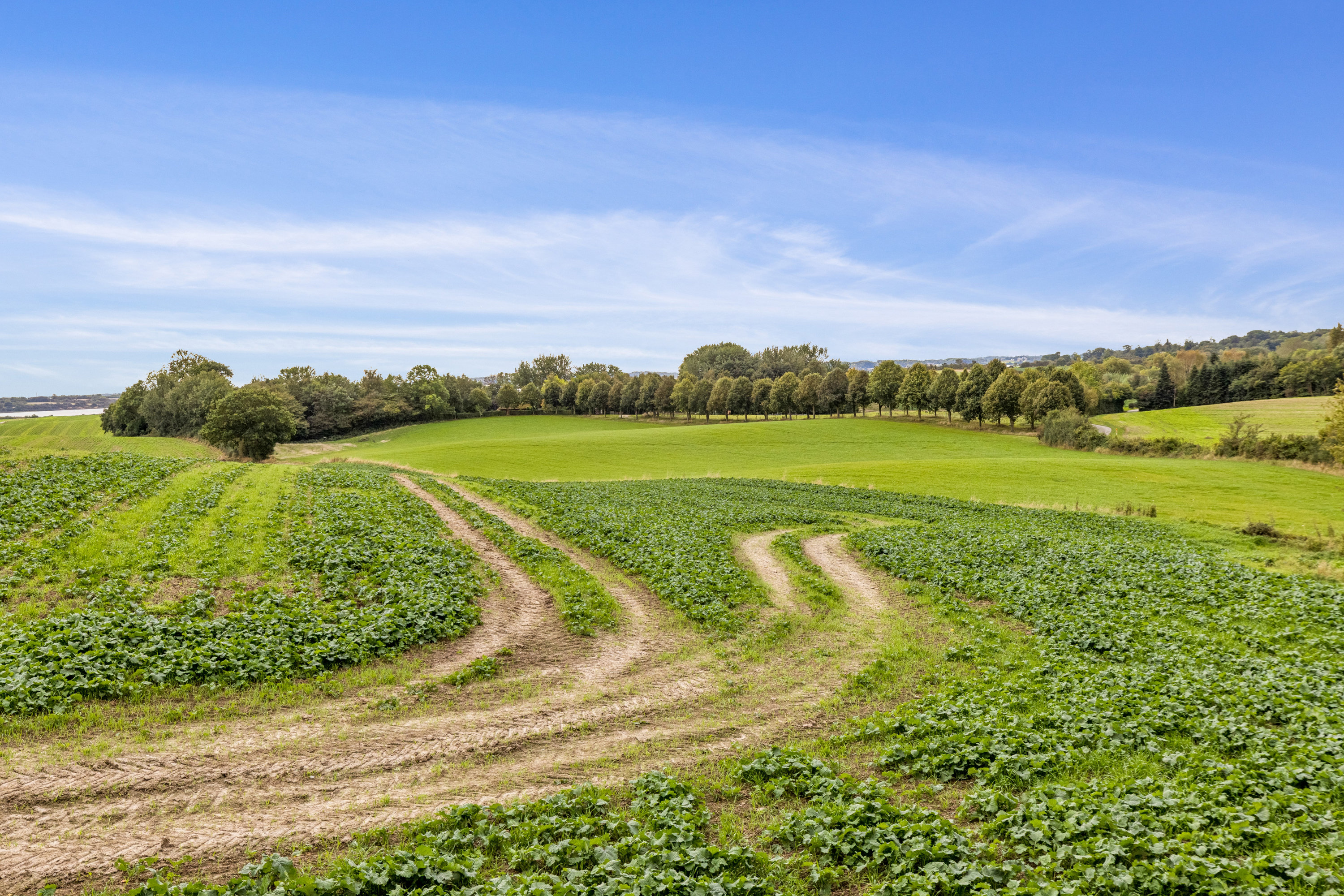 Fremhævet luftfoto billede i fuldskærmstilstand. Billede af Vesterballe 13, Brandsbøl, 6430 Nordborg